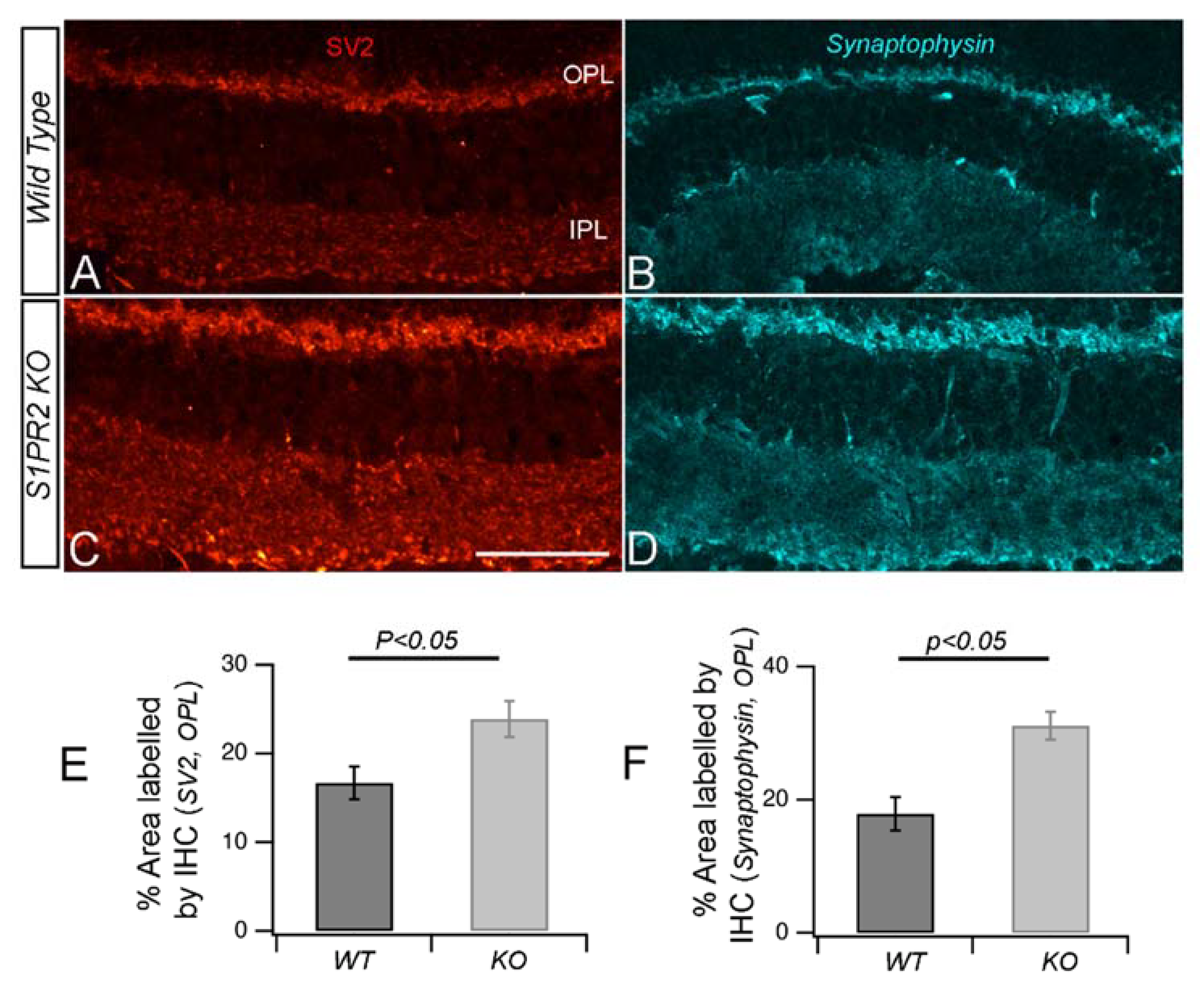 Biomolecules 13 01691 g006 Biomolecules 13 01691 g006