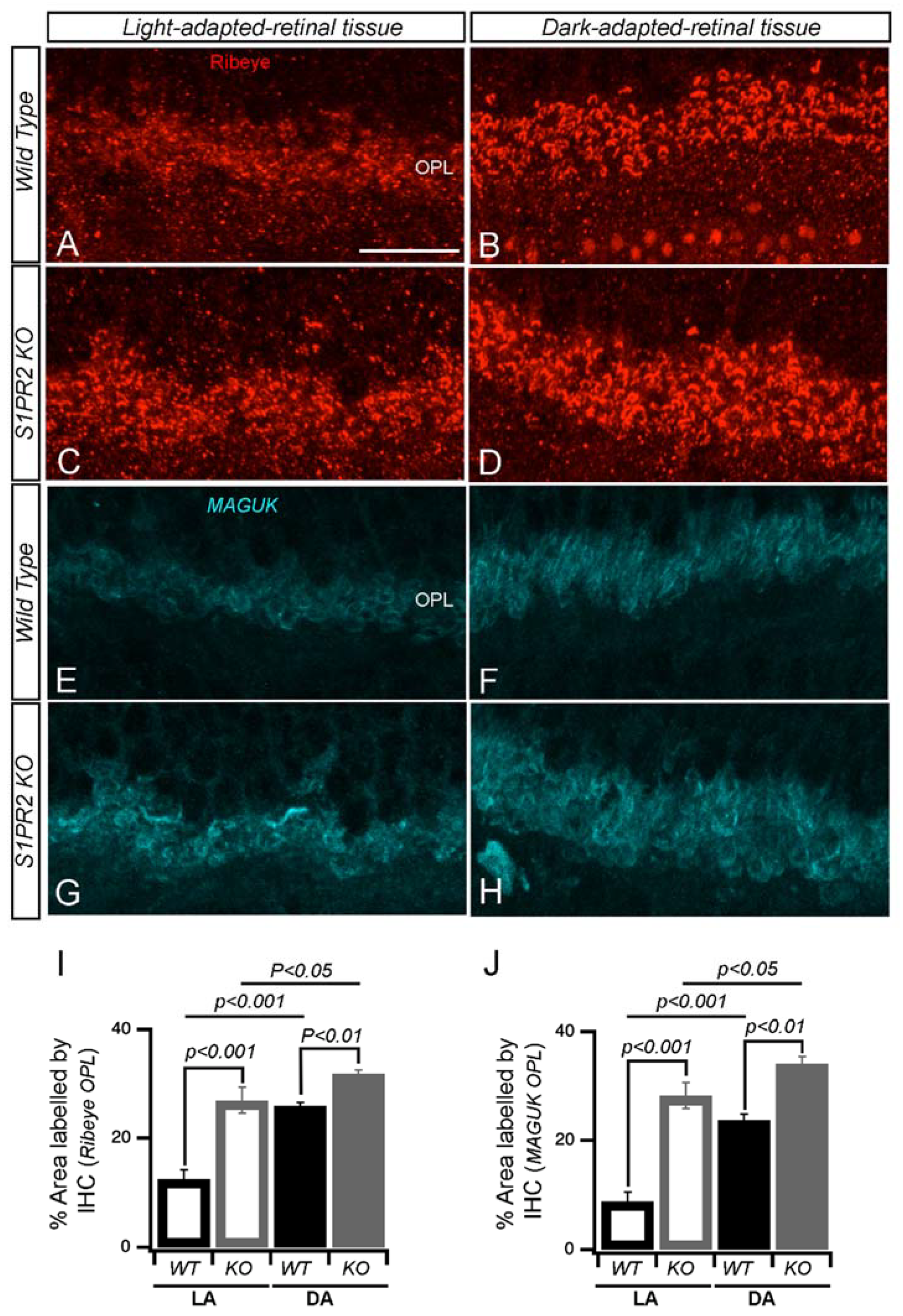 Biomolecules 13 01691 g008 Biomolecules 13 01691 g008