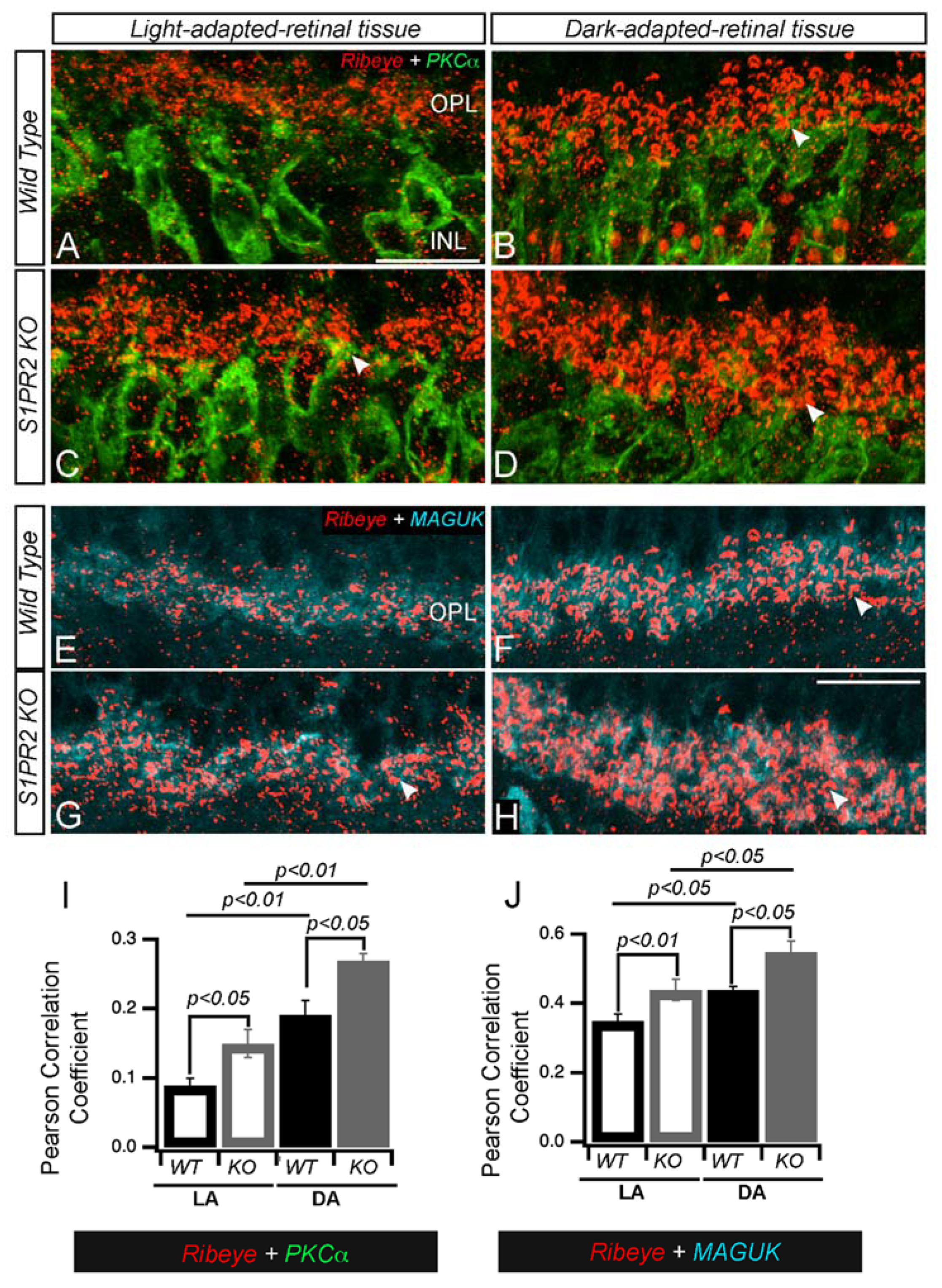 Biomolecules 13 01691 g009 Biomolecules 13 01691 g009