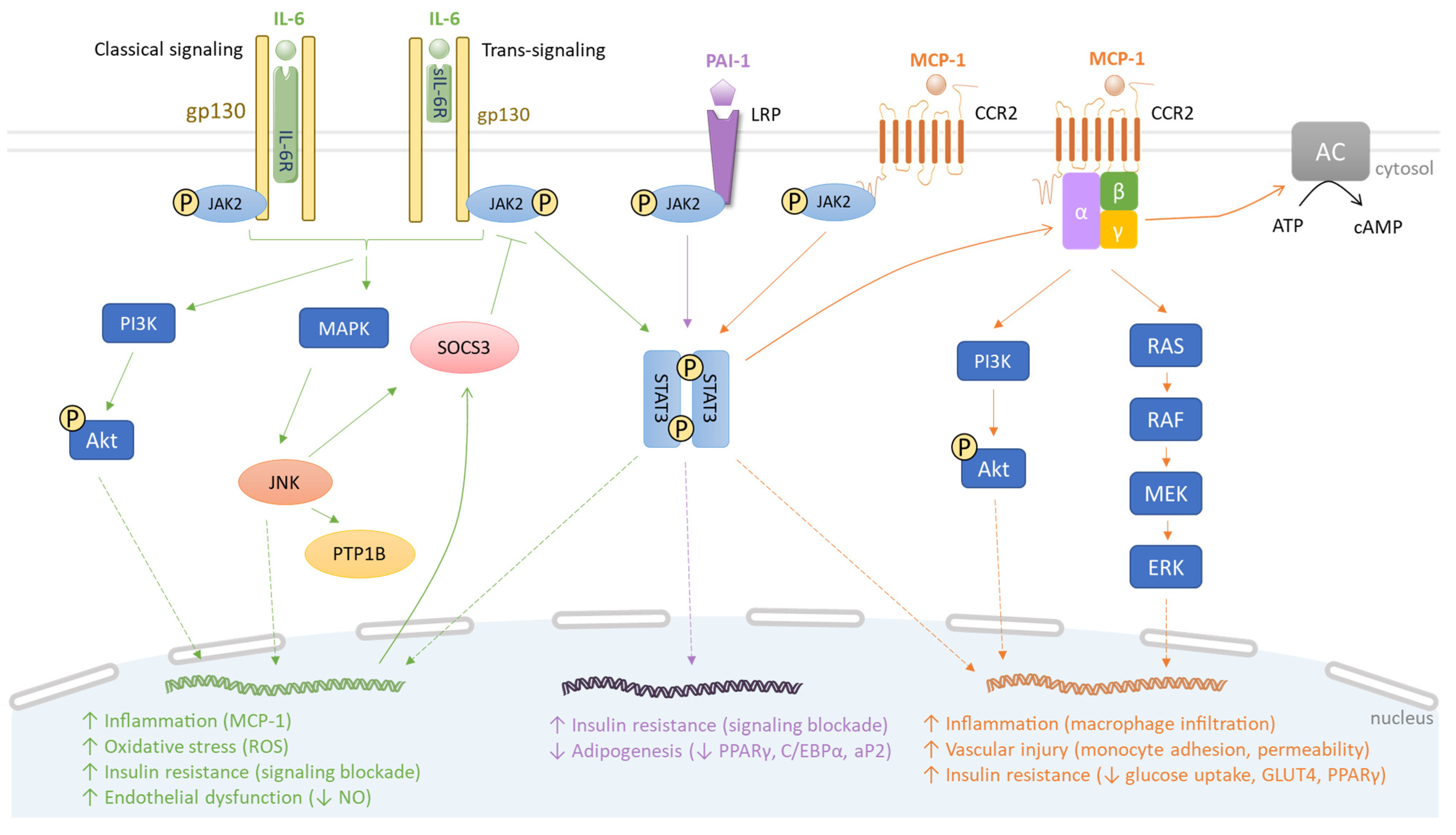 Biomolecules 13 01692 g002