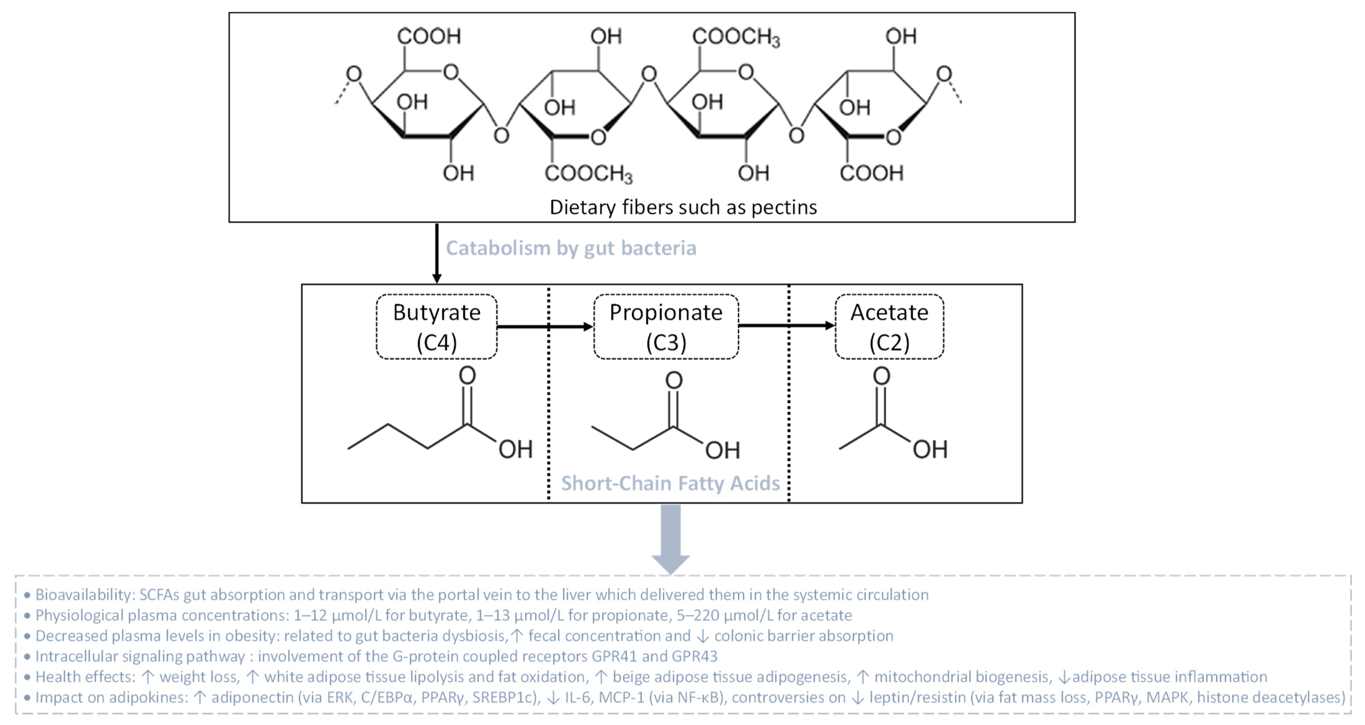 Biomolecules 13 01692 g004