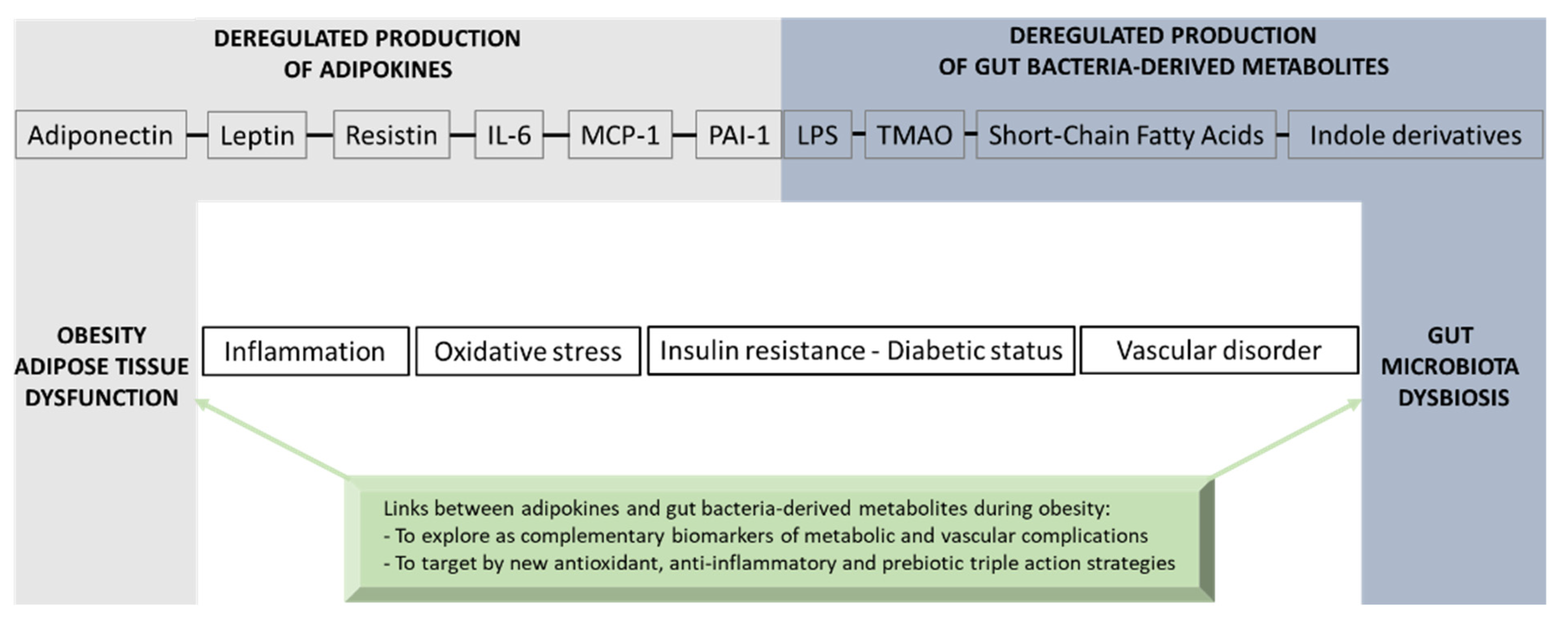 Biomolecules 13 01692 g007