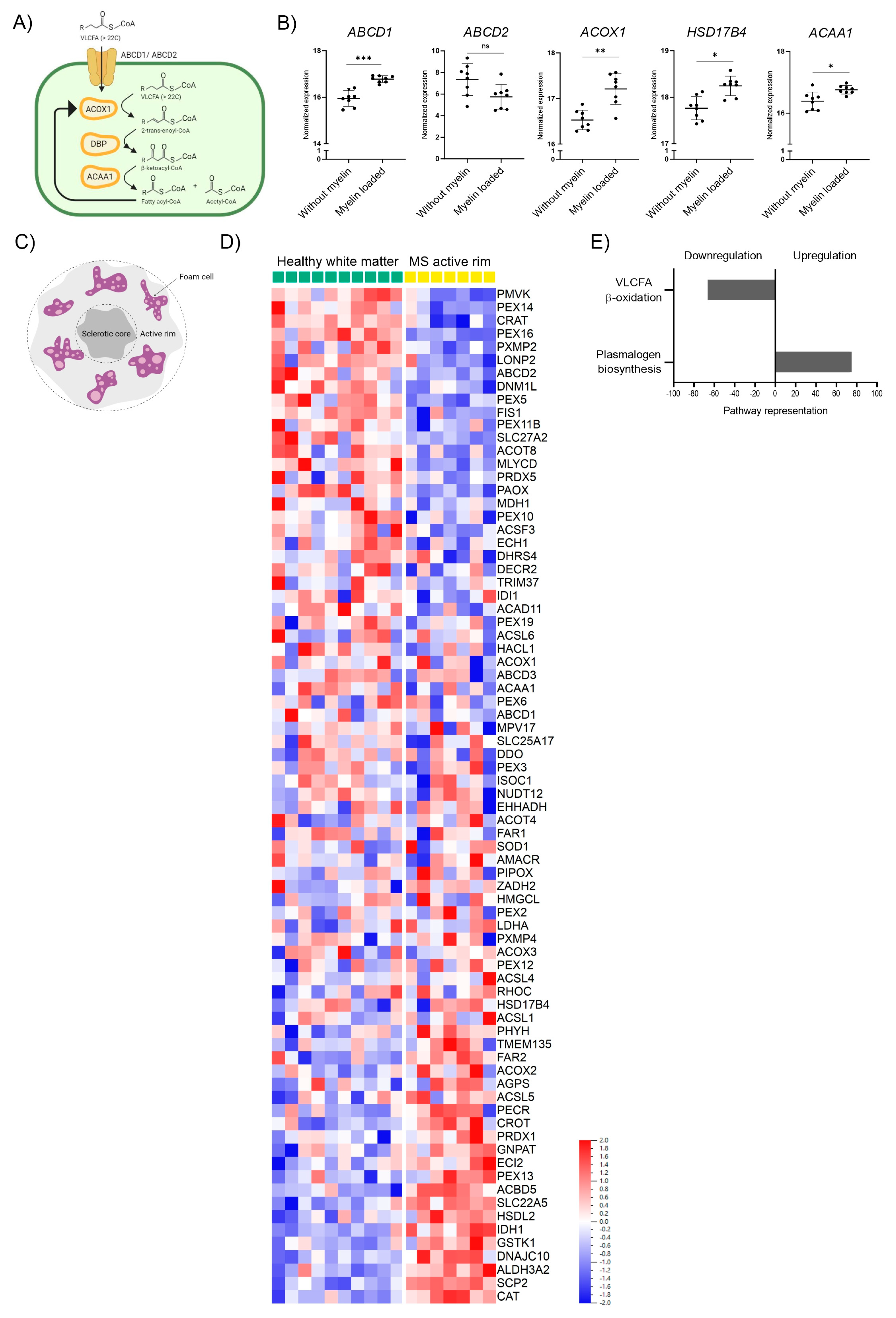 Biomolecules 13 01696 g001 Biomolecules 13 01696 g001