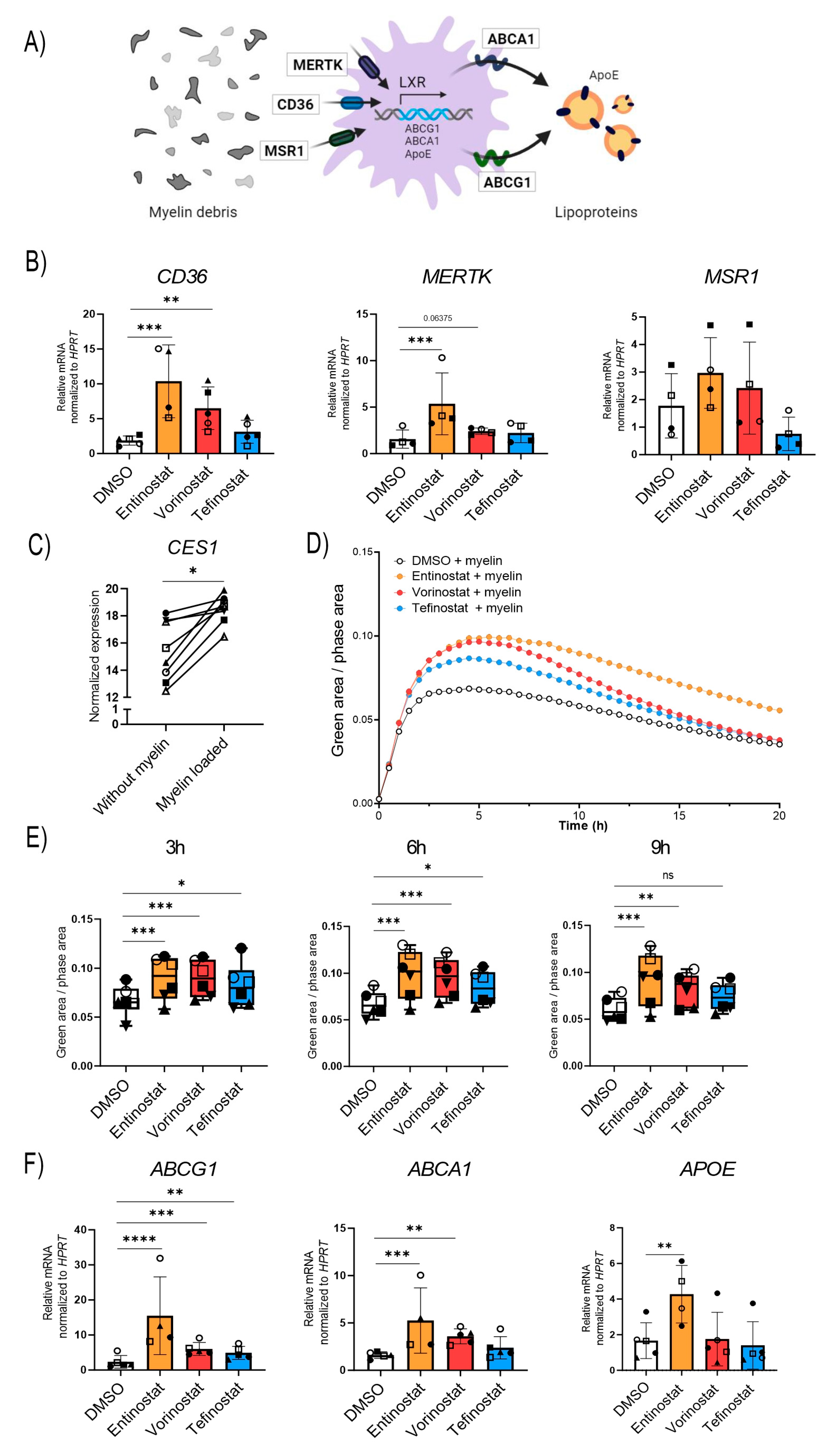 Biomolecules 13 01696 g005 Biomolecules 13 01696 g005