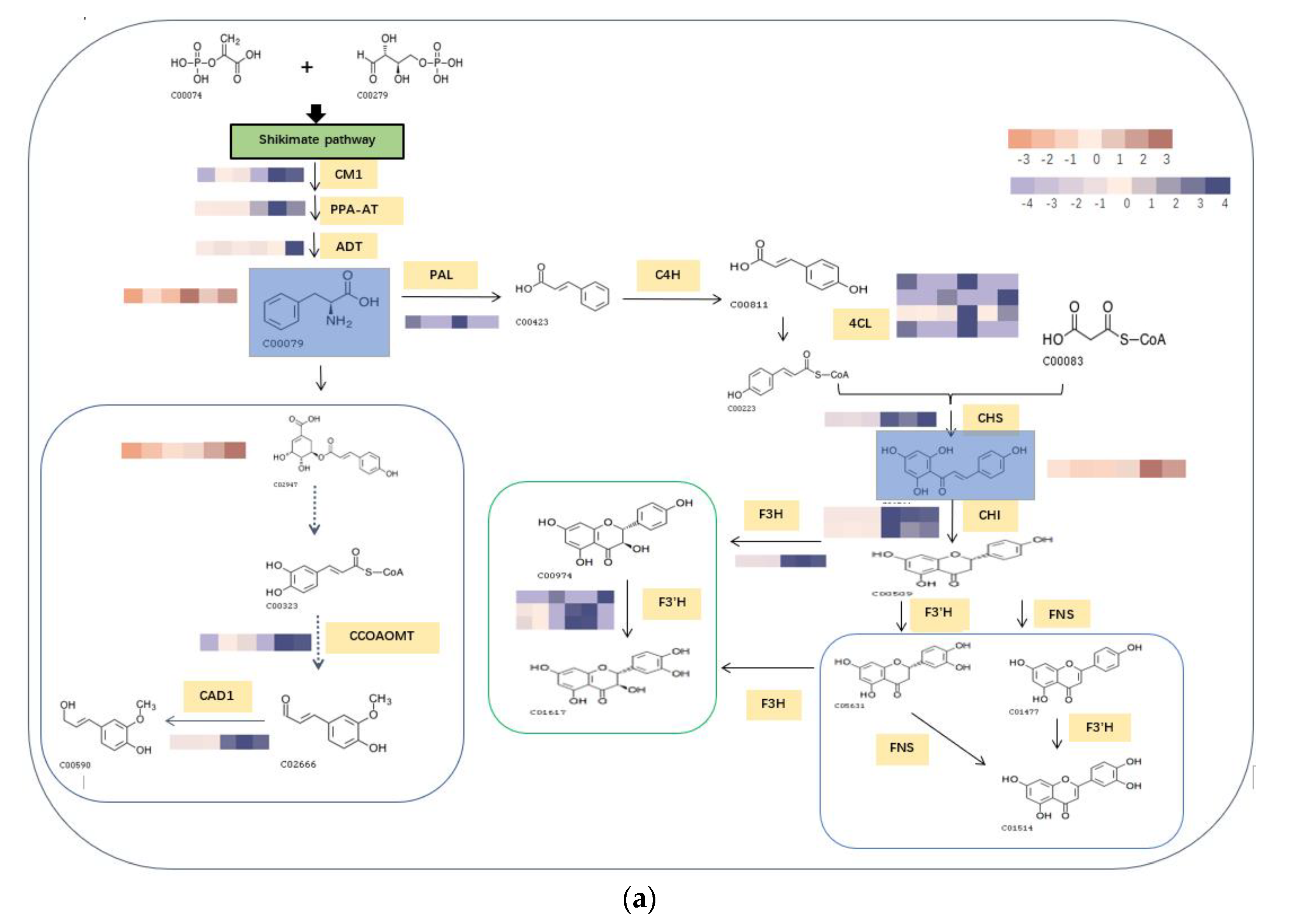 Biomolecules 13 01700 g006a
