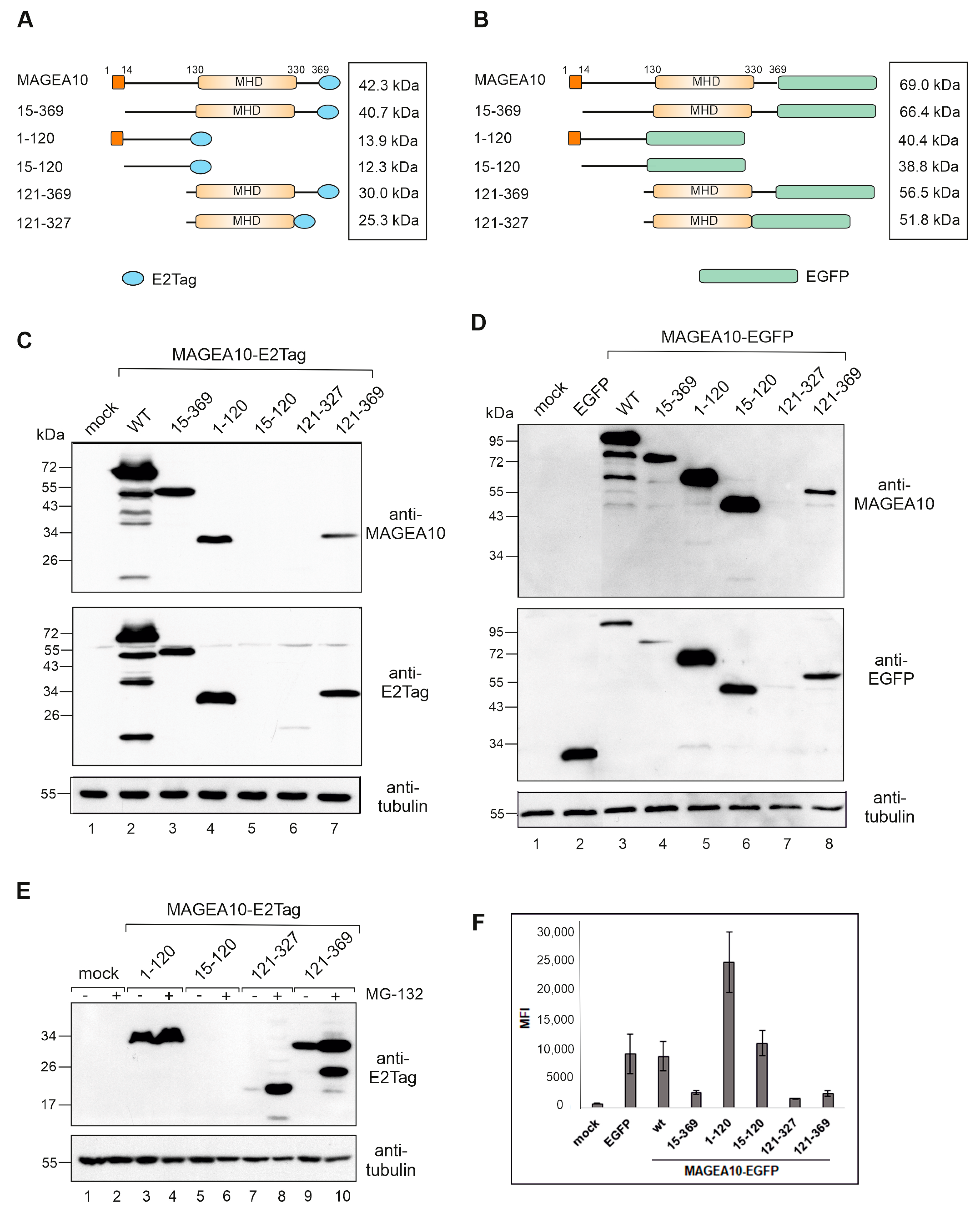 Biomolecules 13 01704 g001