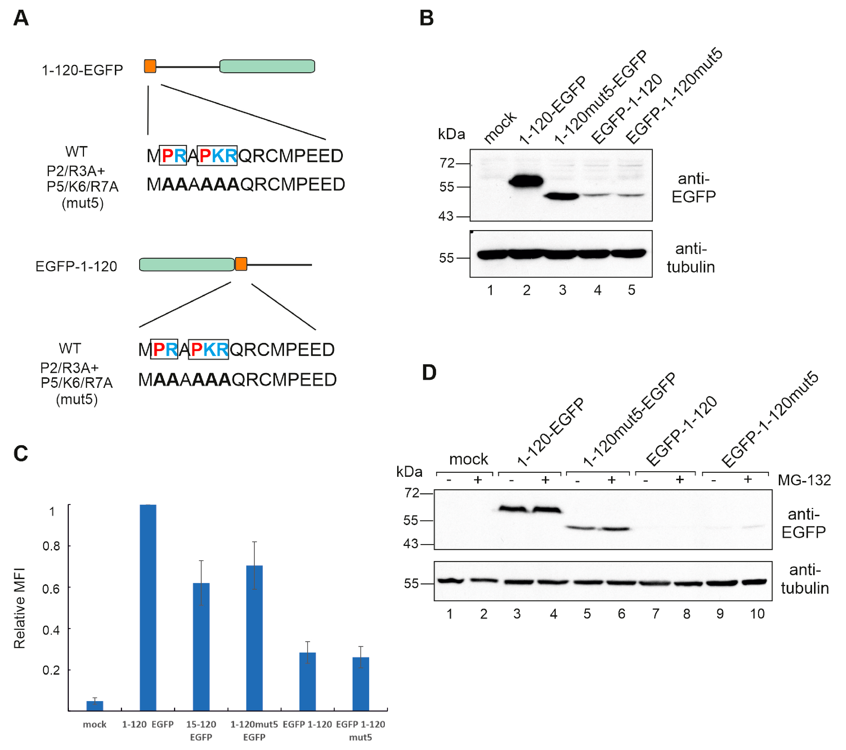 Biomolecules 13 01704 g004