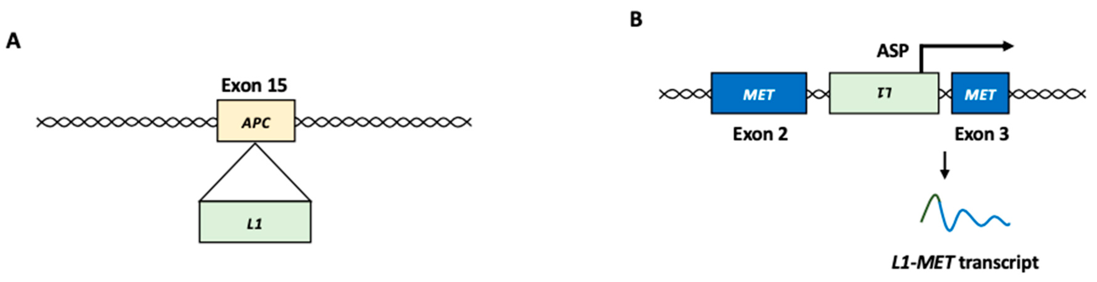 Biomolecules 13 01706 g003