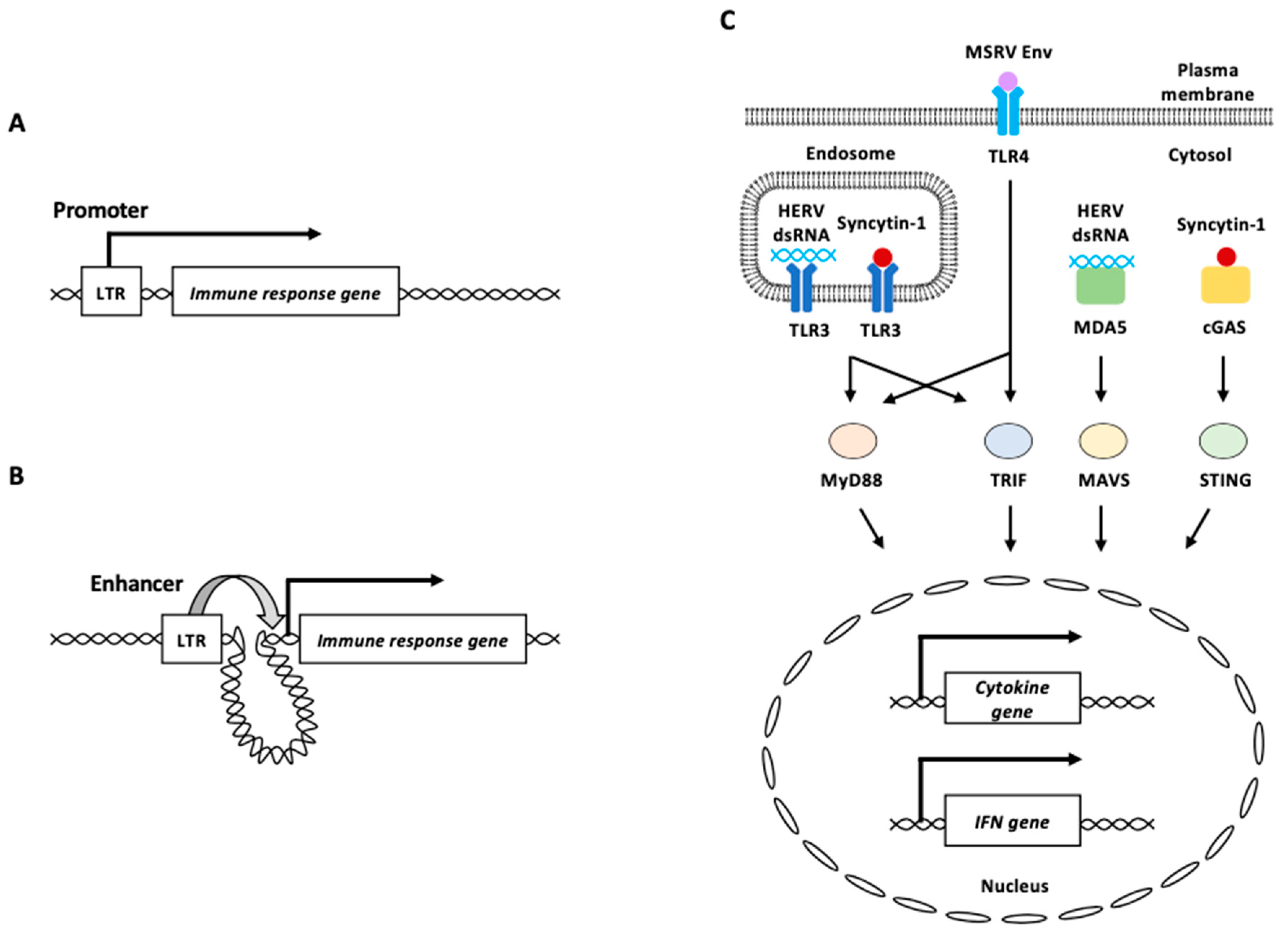 Biomolecules 13 01706 g004