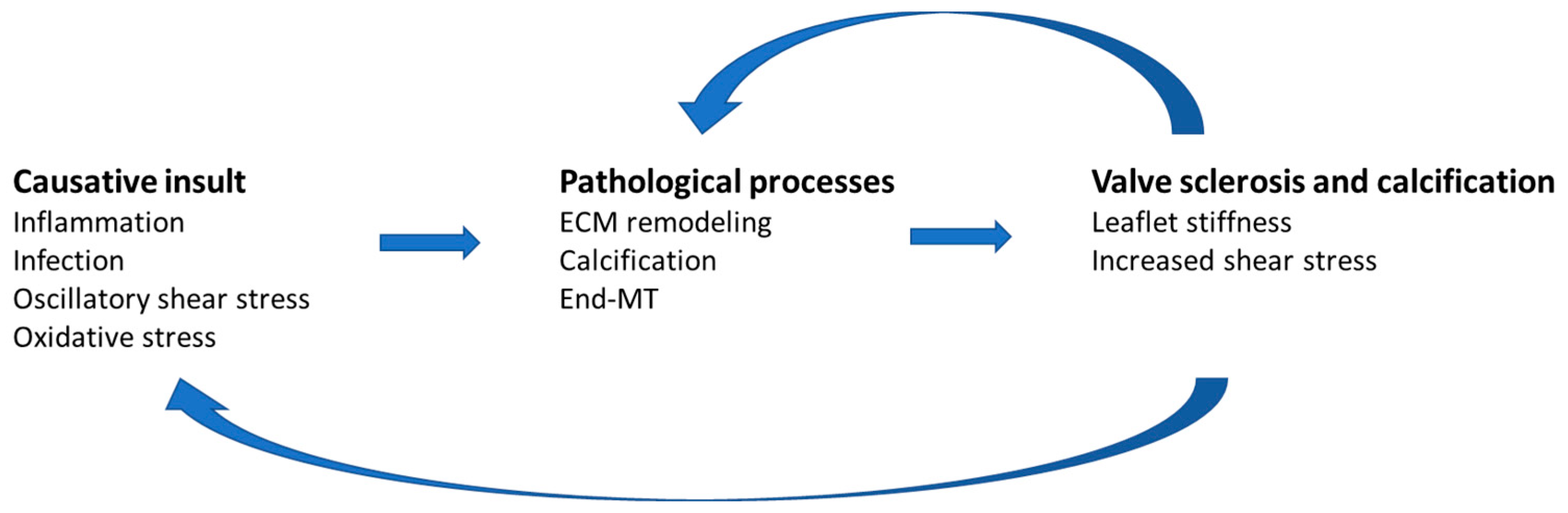 Biomolecules 13 01713 g008 Biomolecules 13 01713 g008