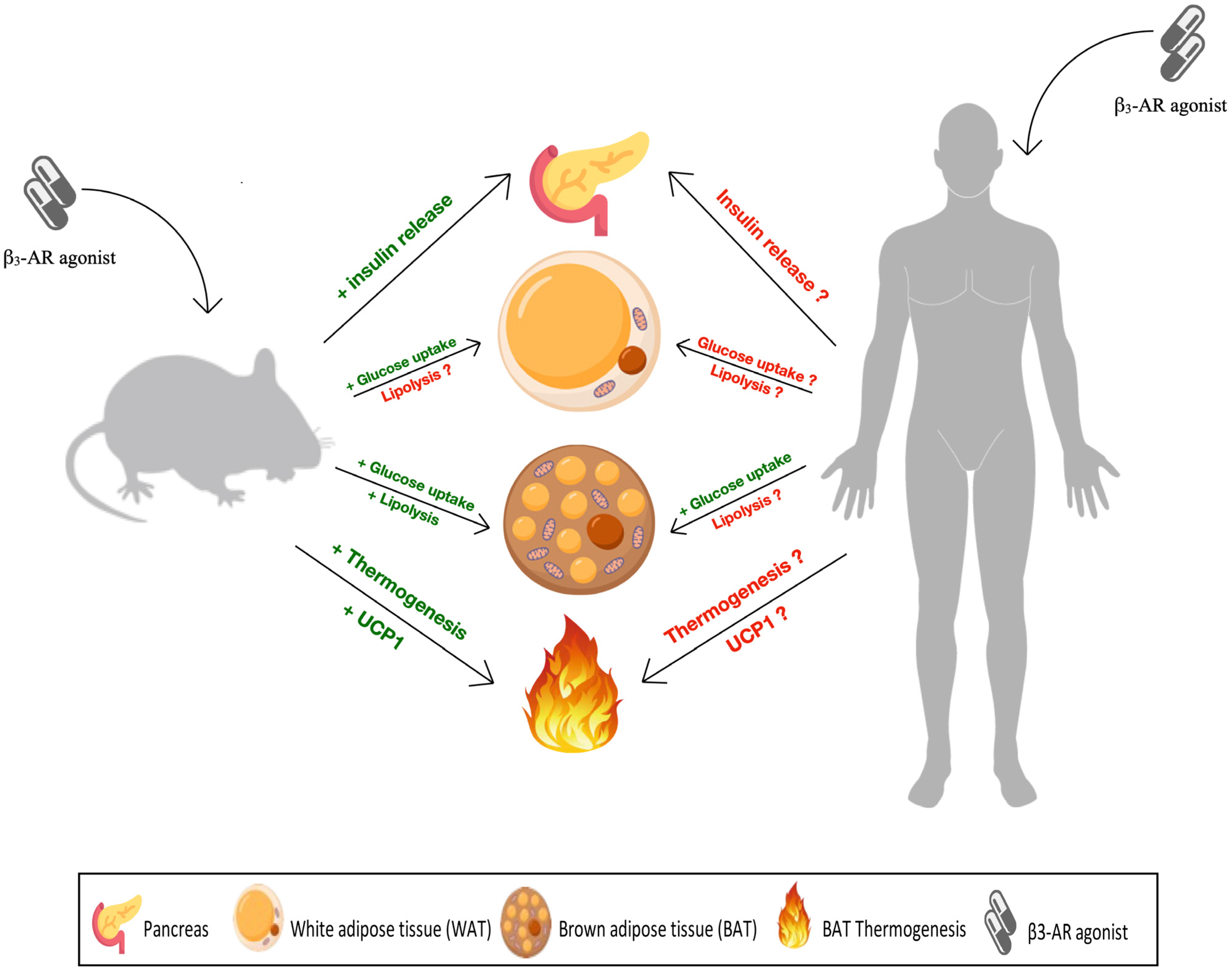 Biomolecules 13 01714 g001 Biomolecules 13 01714 g001
