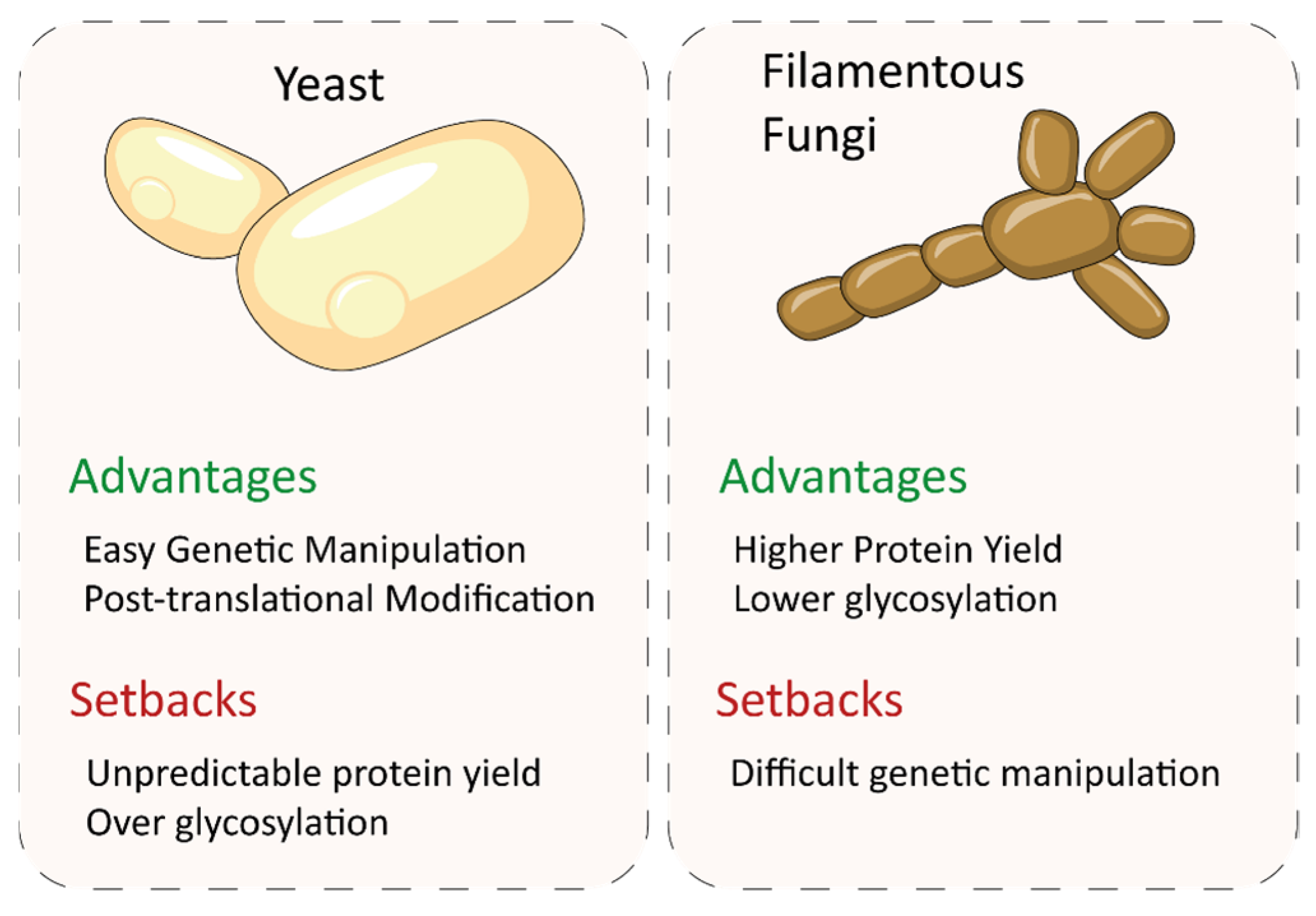 Biomolecules 13 01716 g008 Biomolecules 13 01716 g008