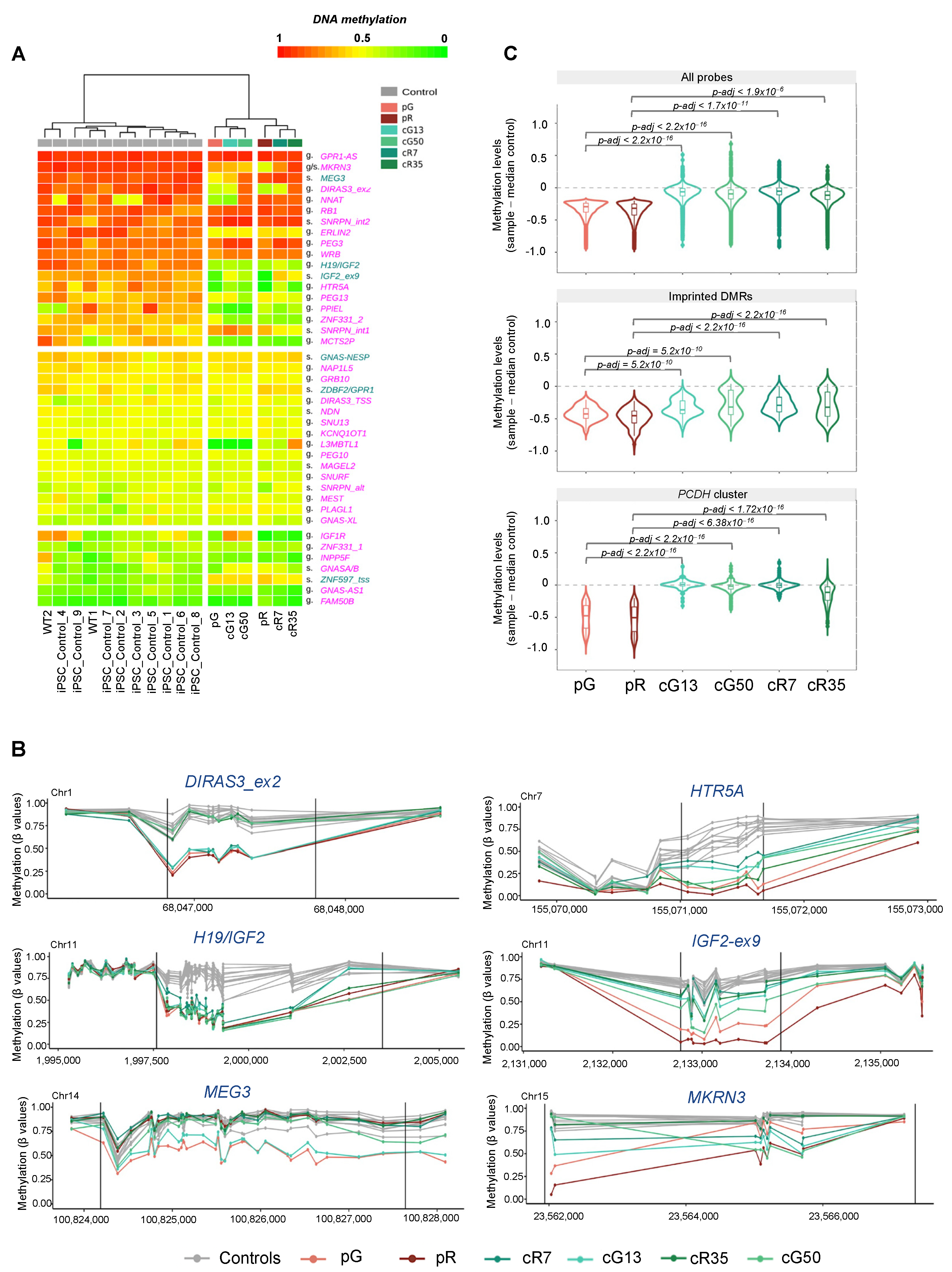 Biomolecules 13 01717 g001