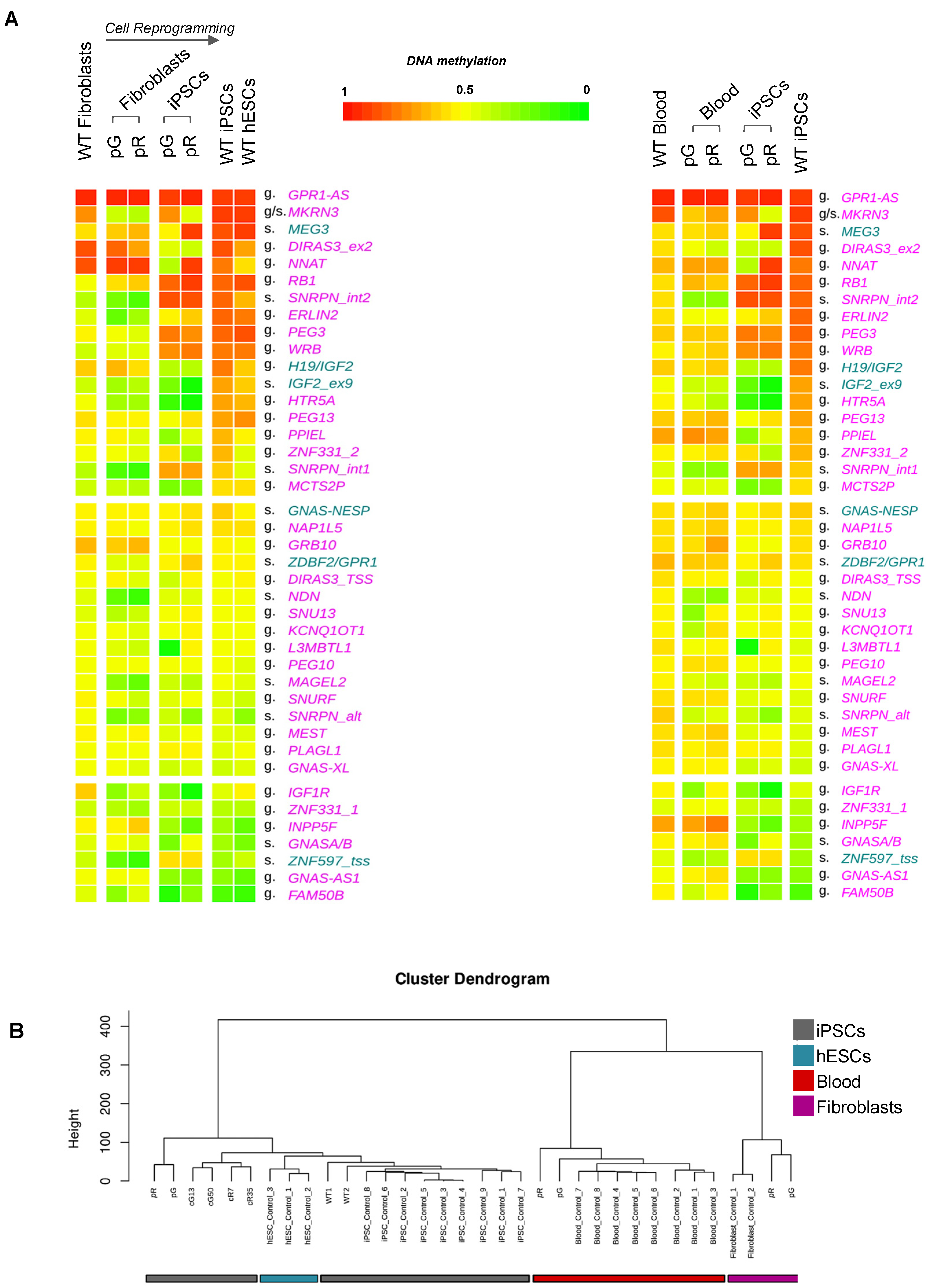 Biomolecules 13 01717 g002