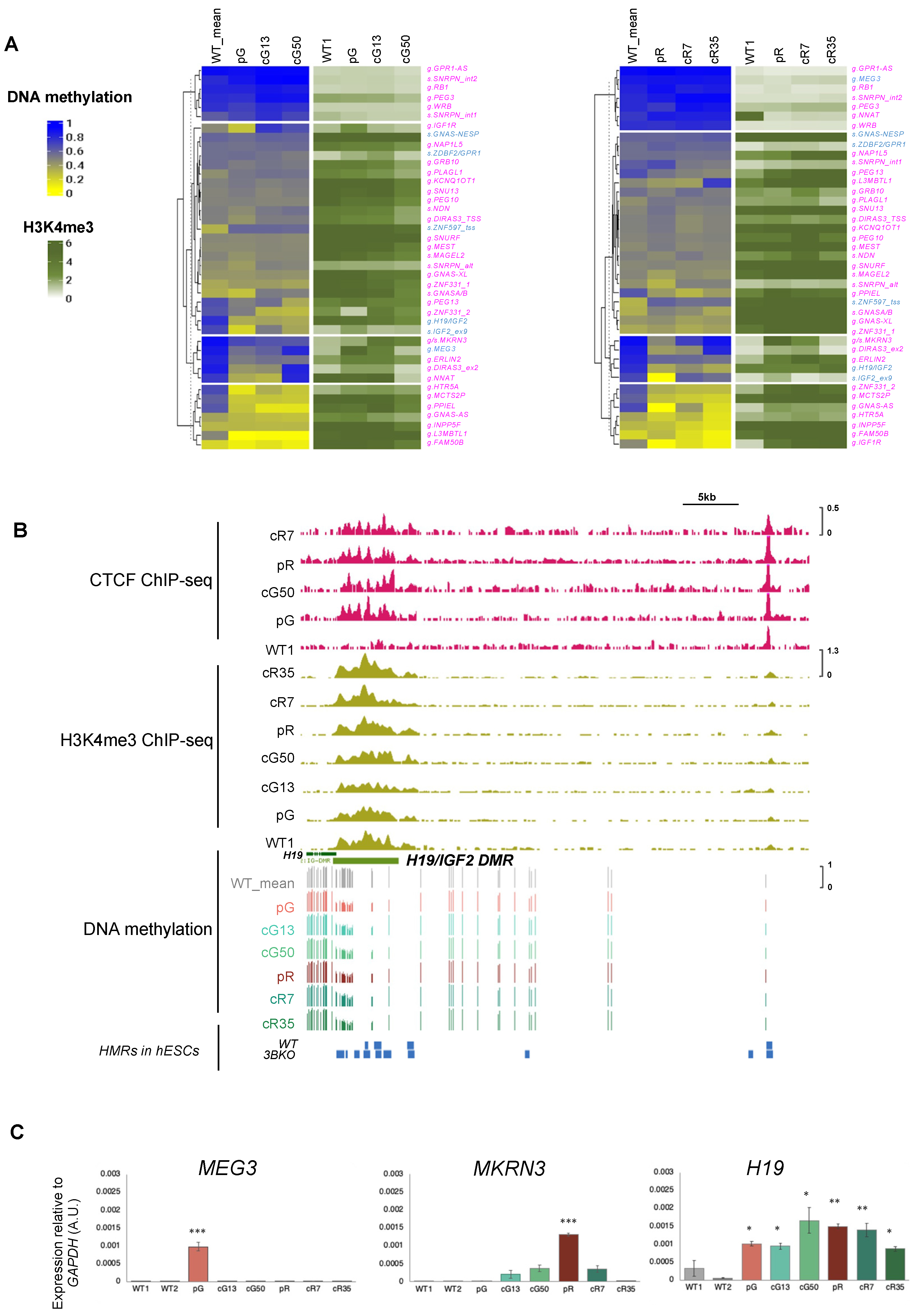Biomolecules 13 01717 g003