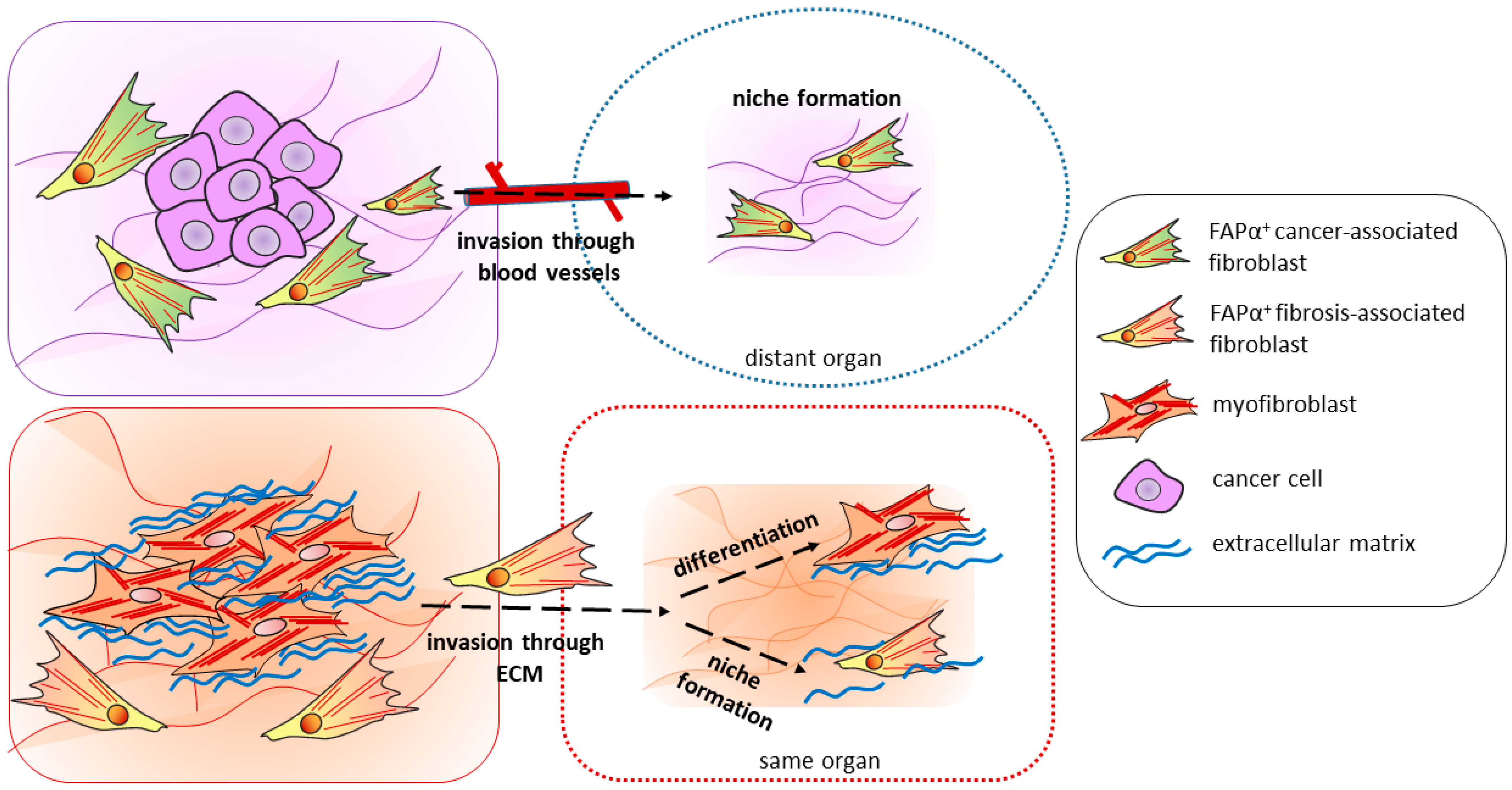 Biomolecules 13 01718 g002