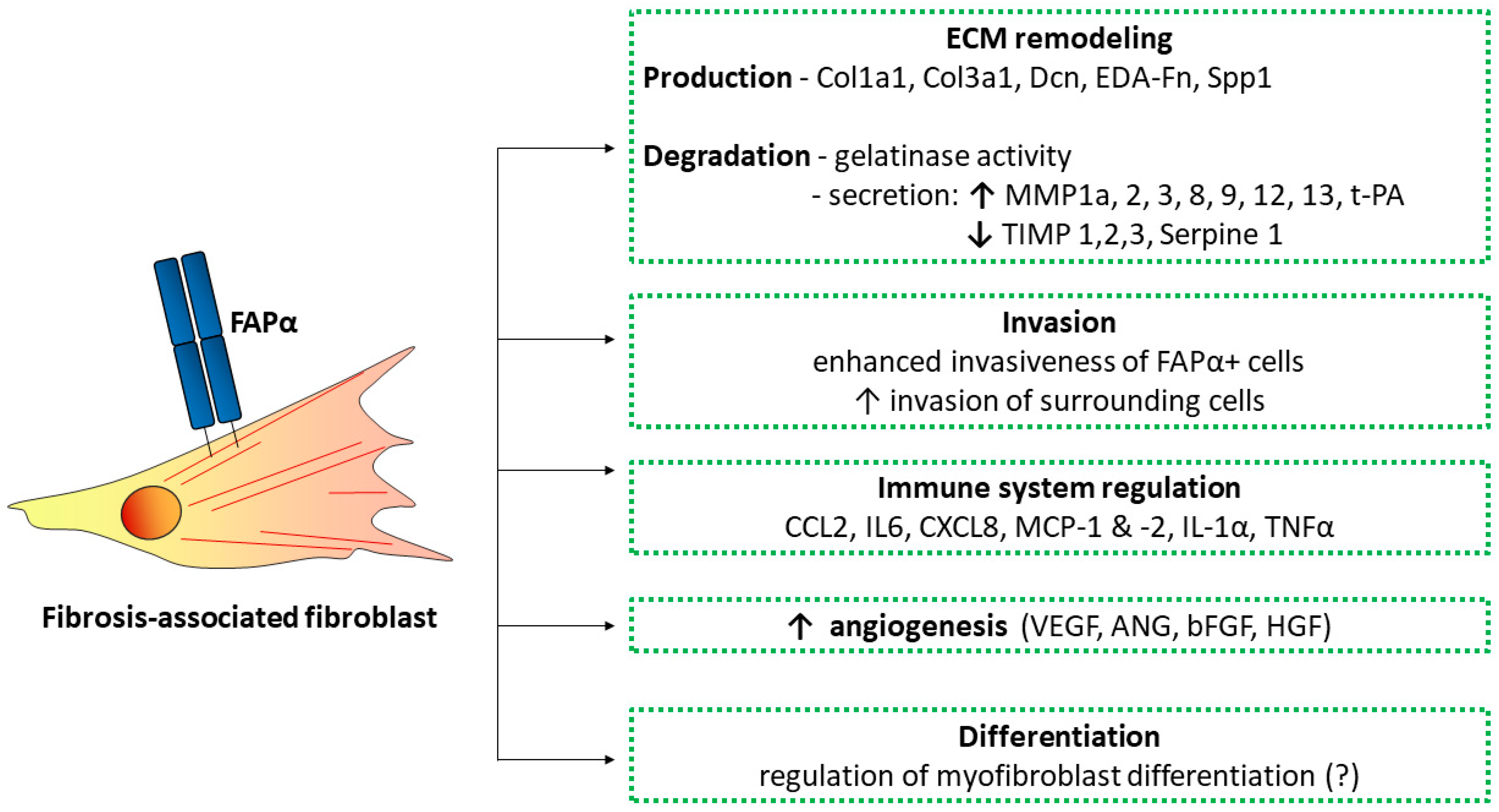Biomolecules 13 01718 g003