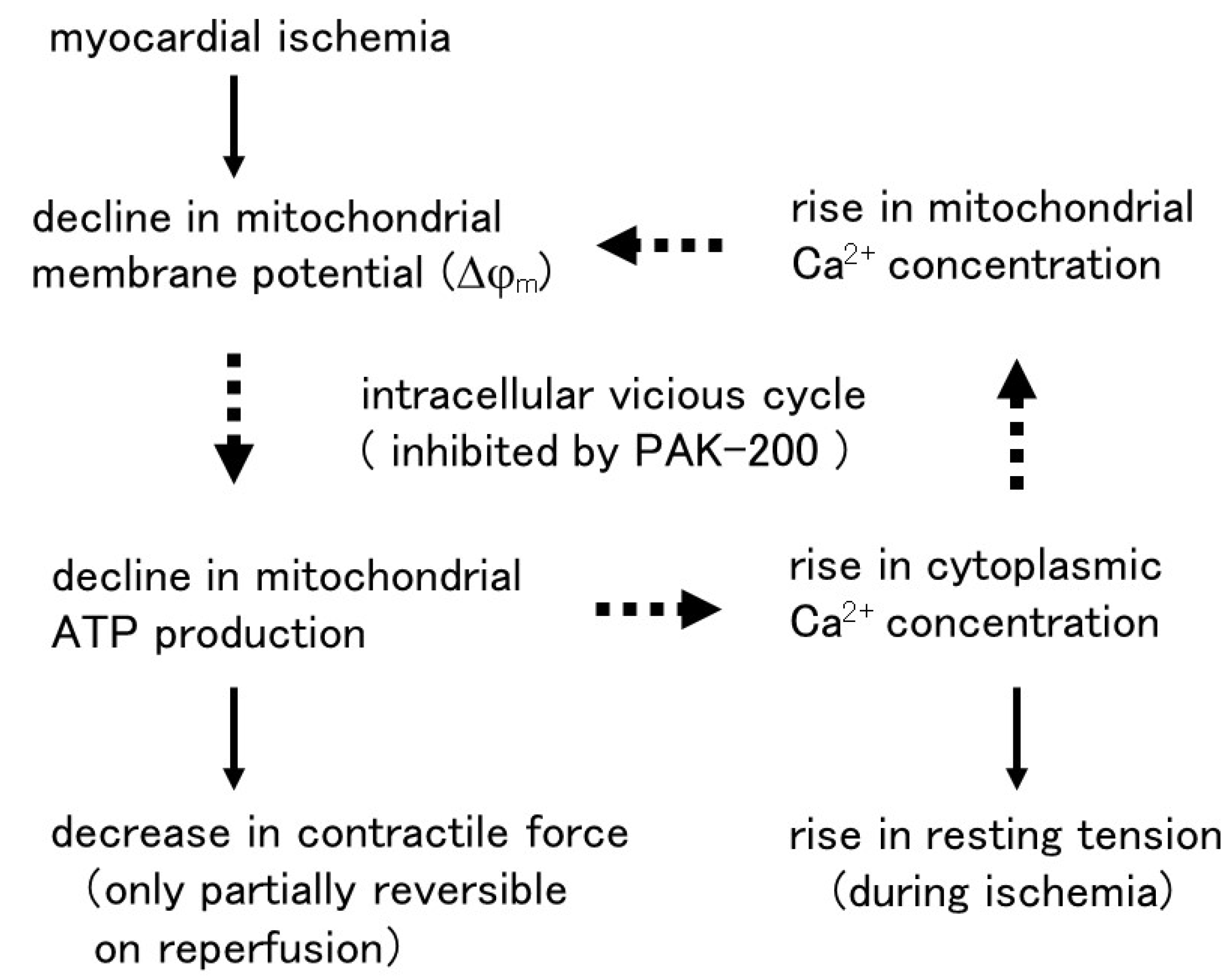 Biomolecules 13 01719 g011 Biomolecules 13 01719 g011