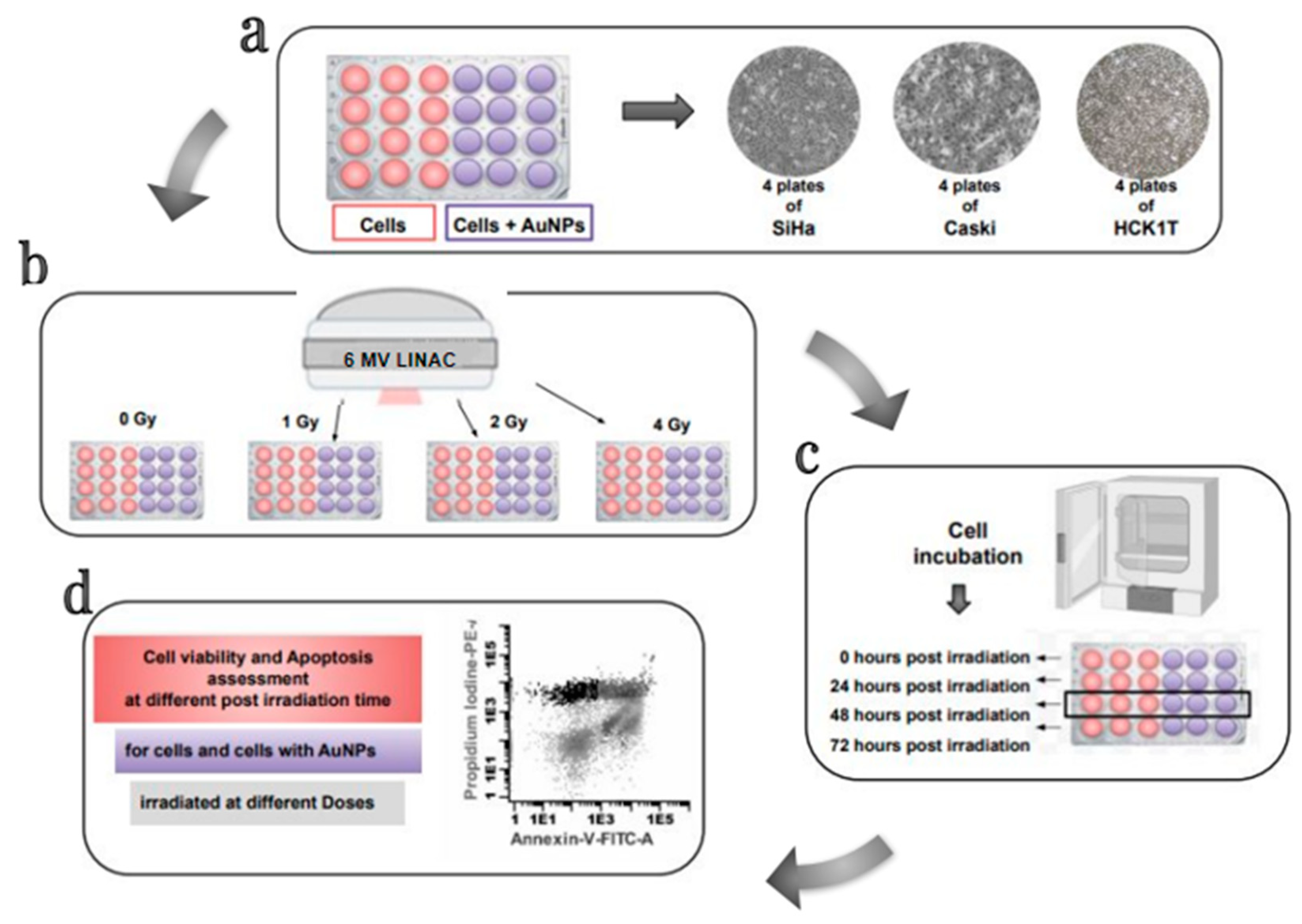 Biomolecules 13 01720 g002