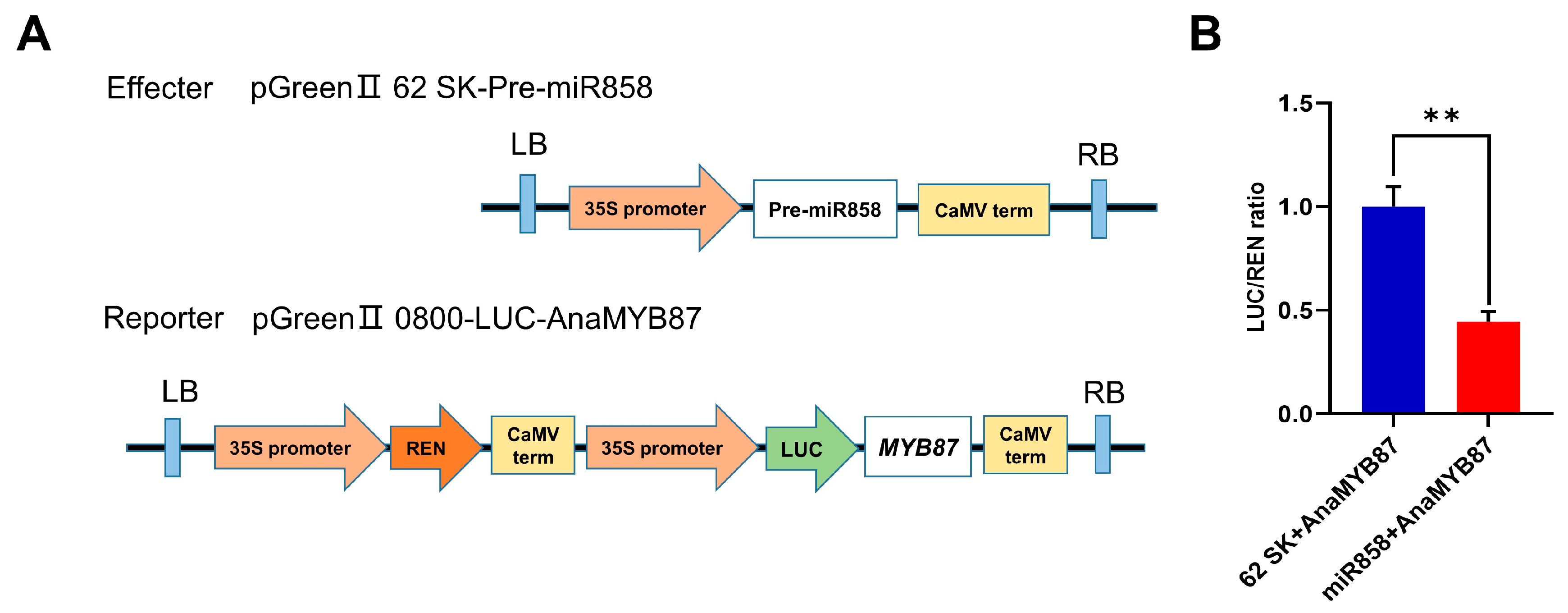 Biomolecules 13 01721 g014