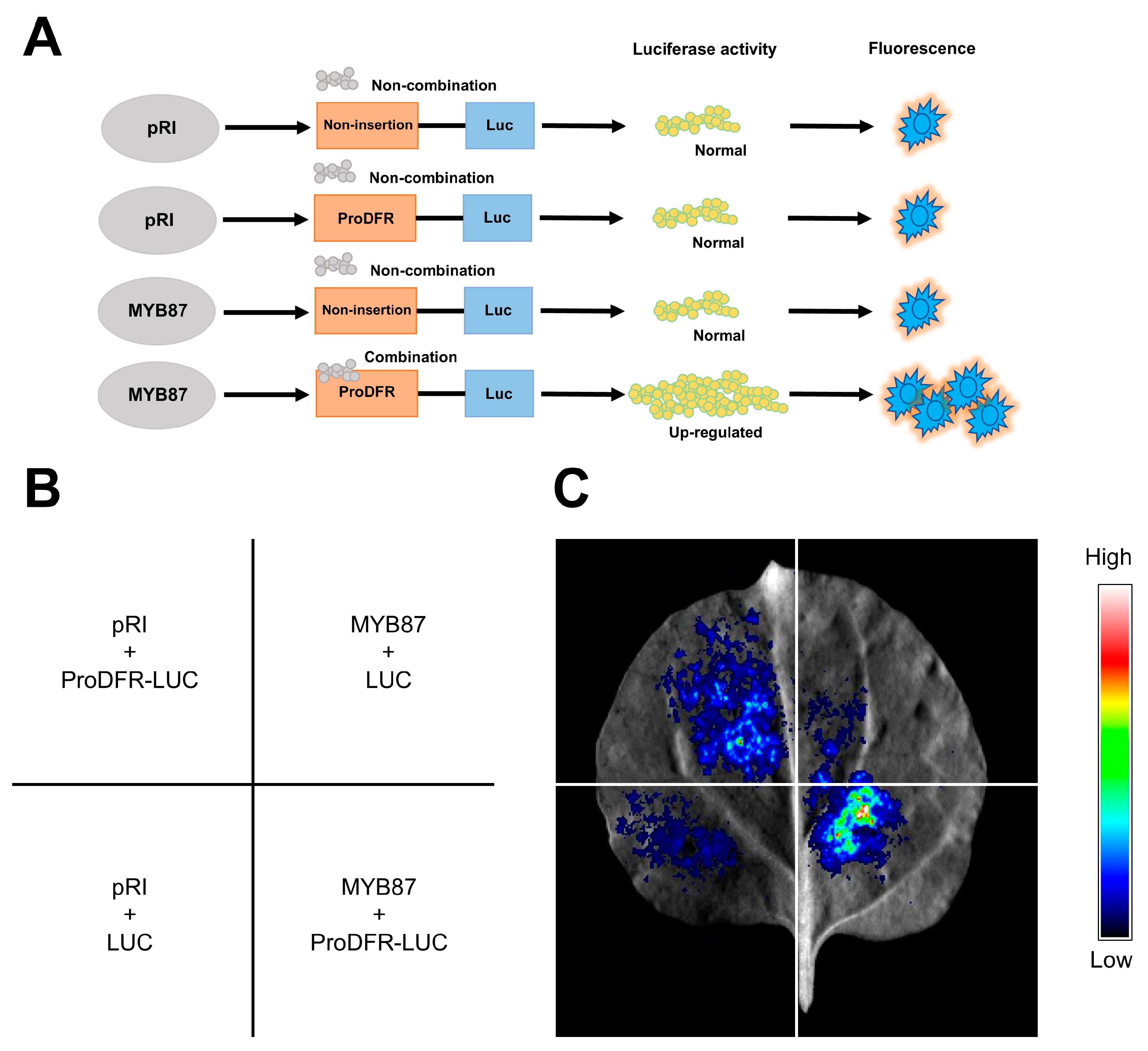 Biomolecules 13 01721 g016