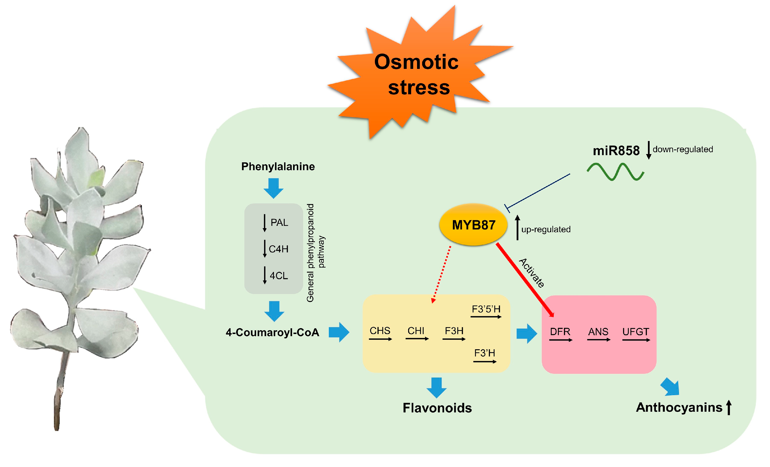 Biomolecules 13 01721 g017