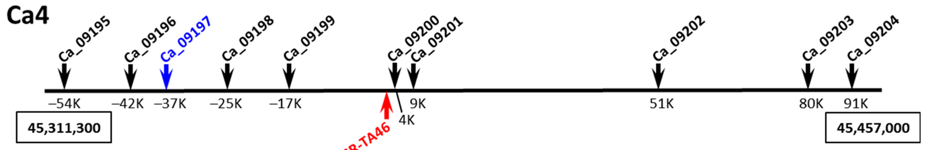 Biomolecules 13 01722 g006