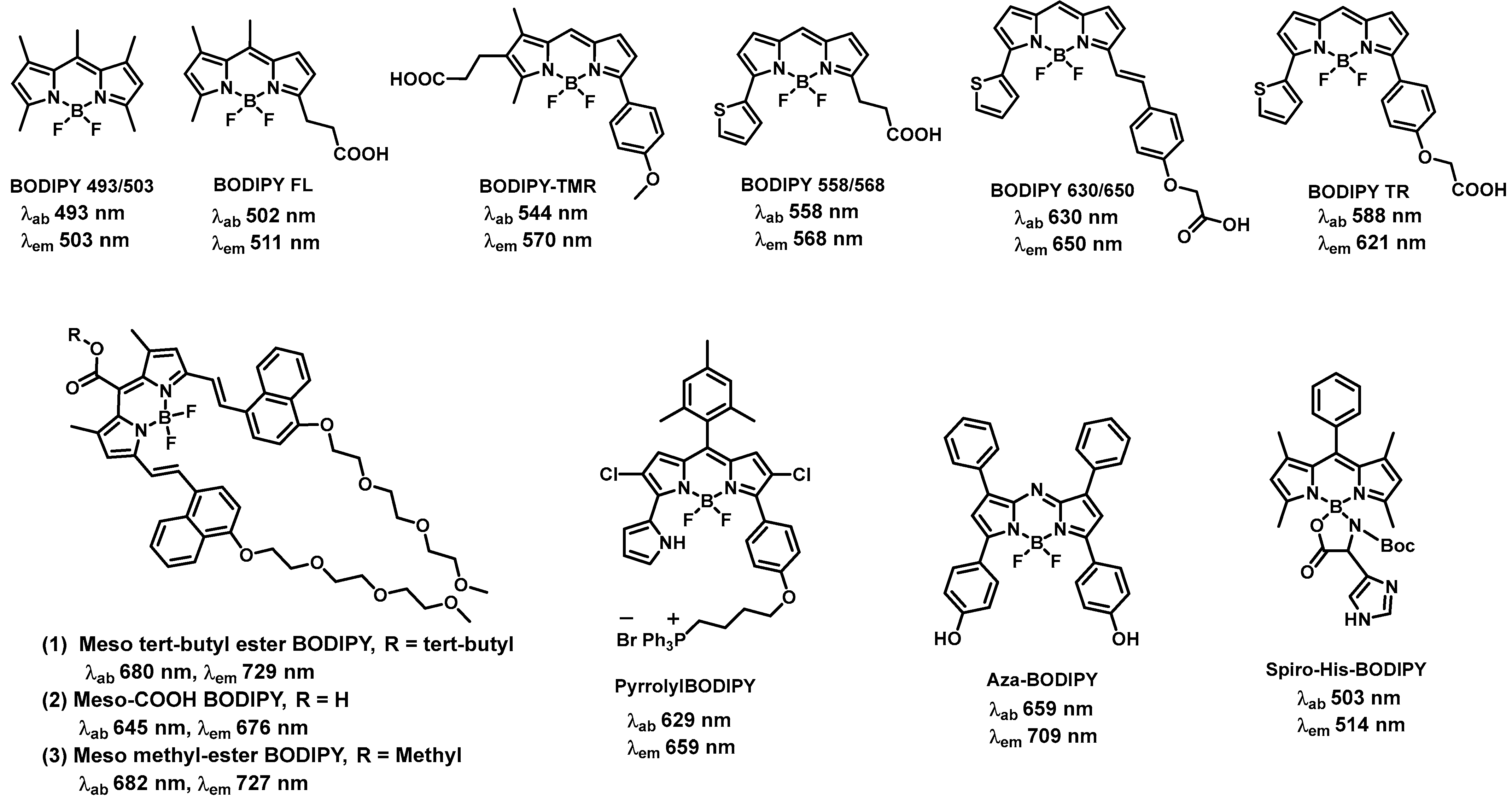 Biomolecules 13 01723 g002