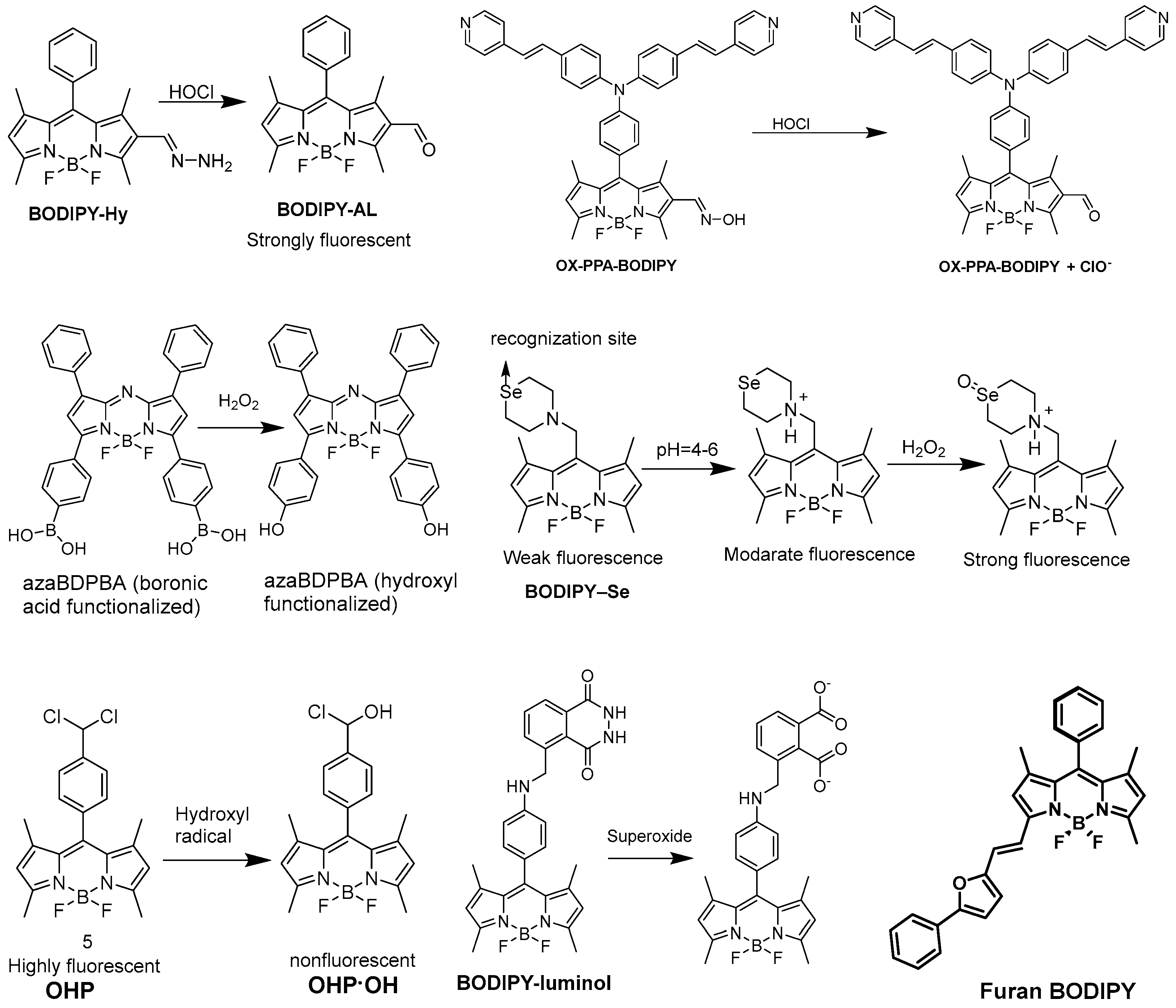 Biomolecules 13 01723 g004
