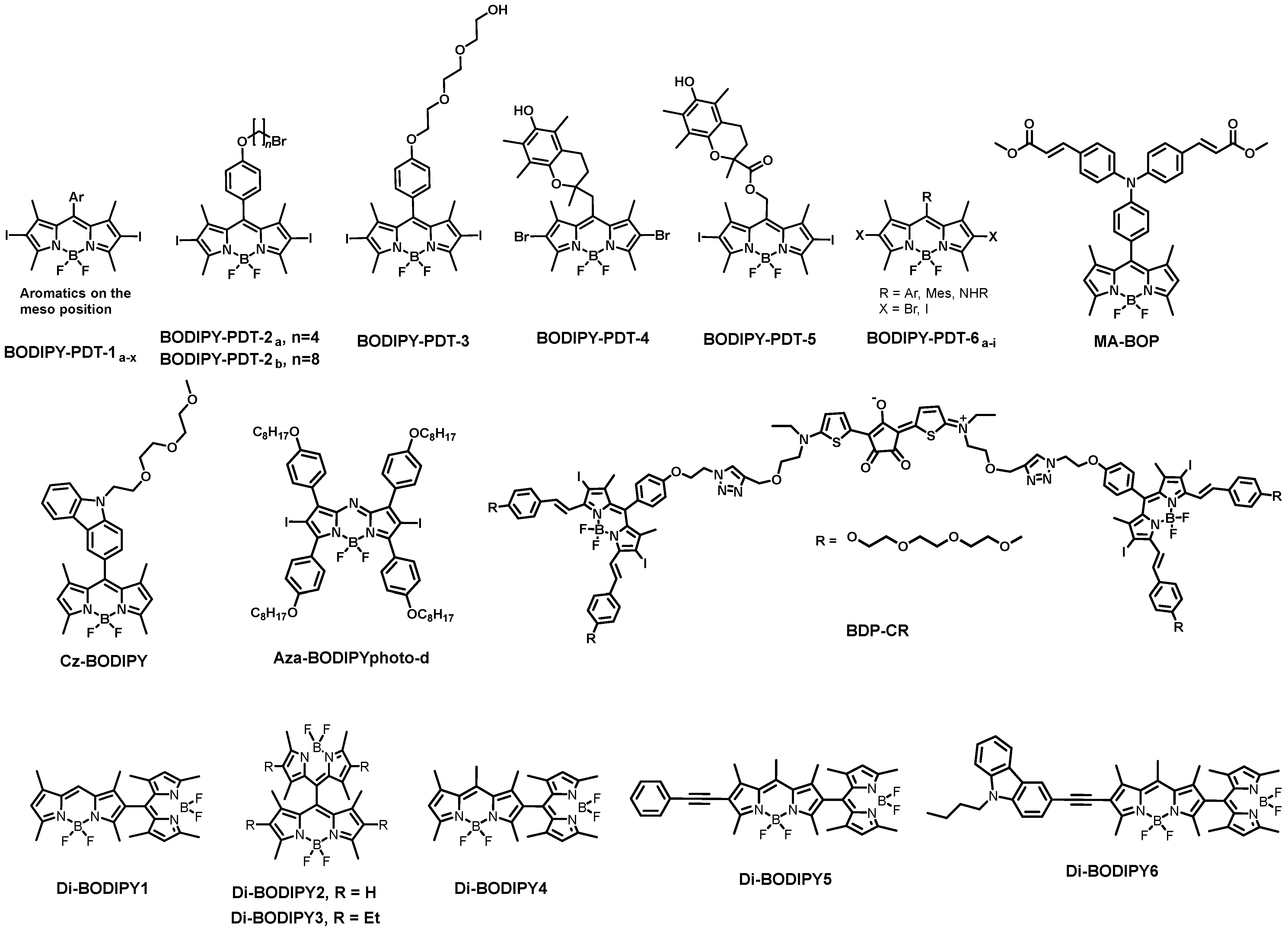 Biomolecules 13 01723 g006