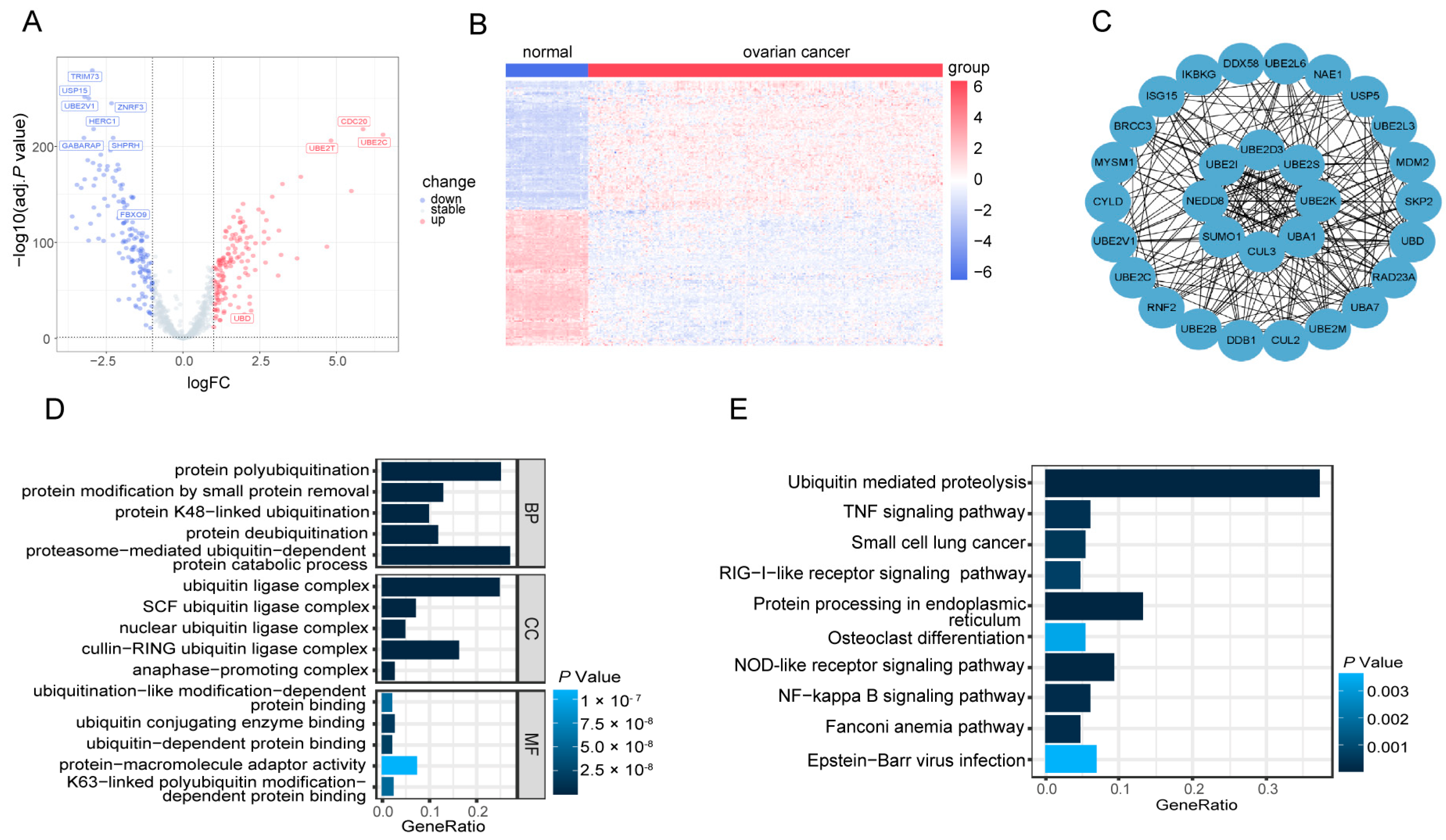 Biomolecules 13 01724 g002