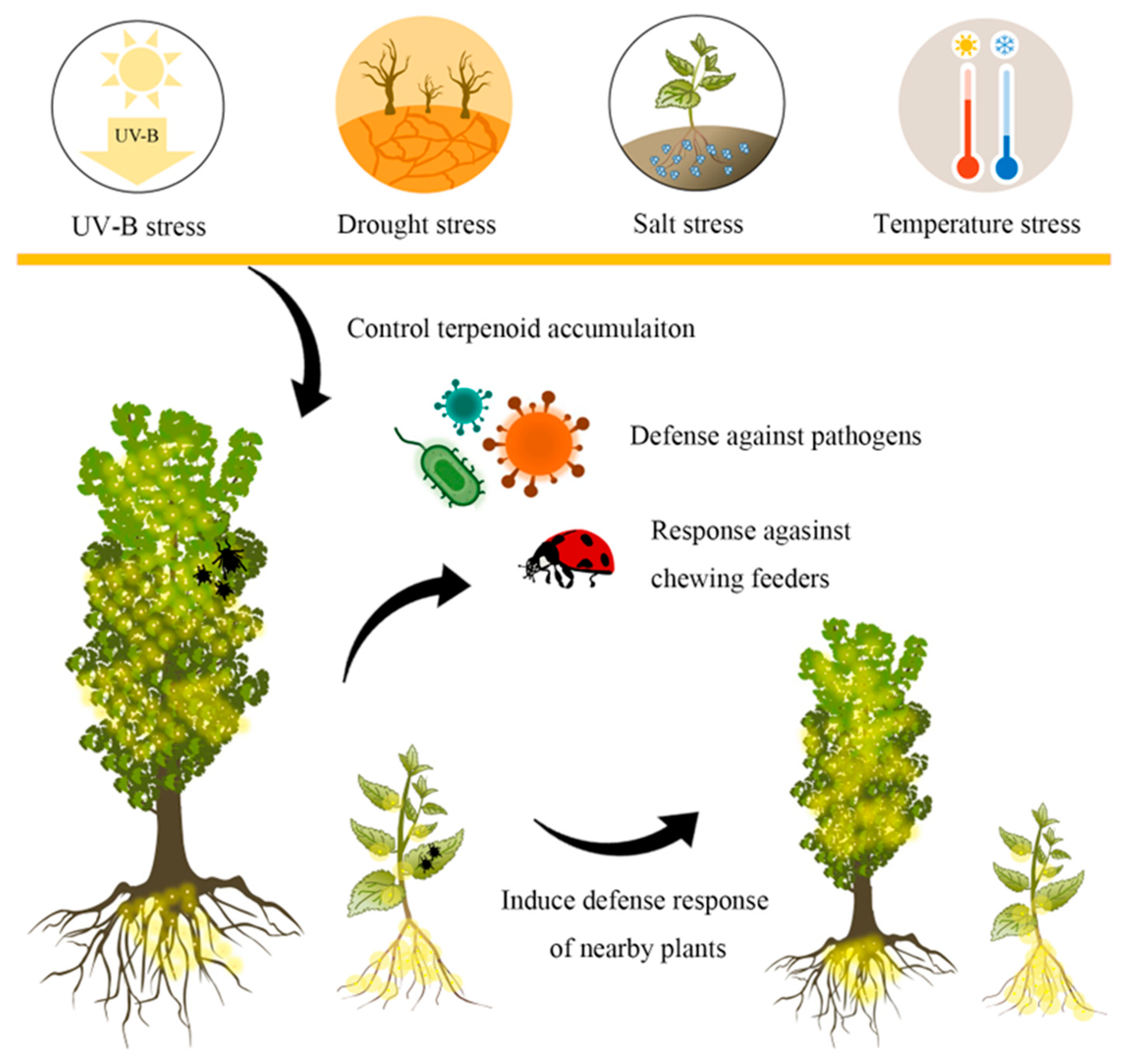 Biomolecules 13 01725 g002