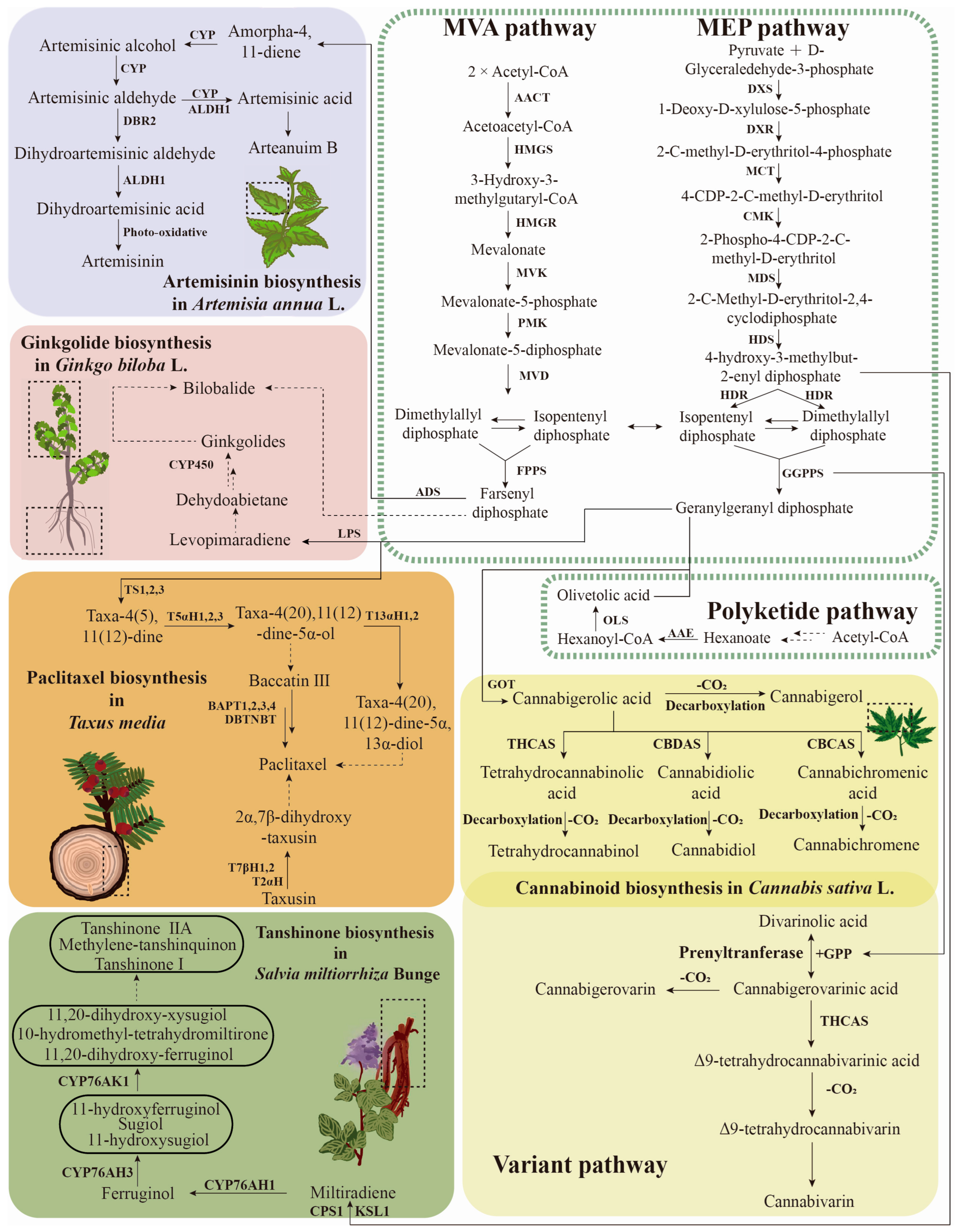 Biomolecules 13 01725 g003