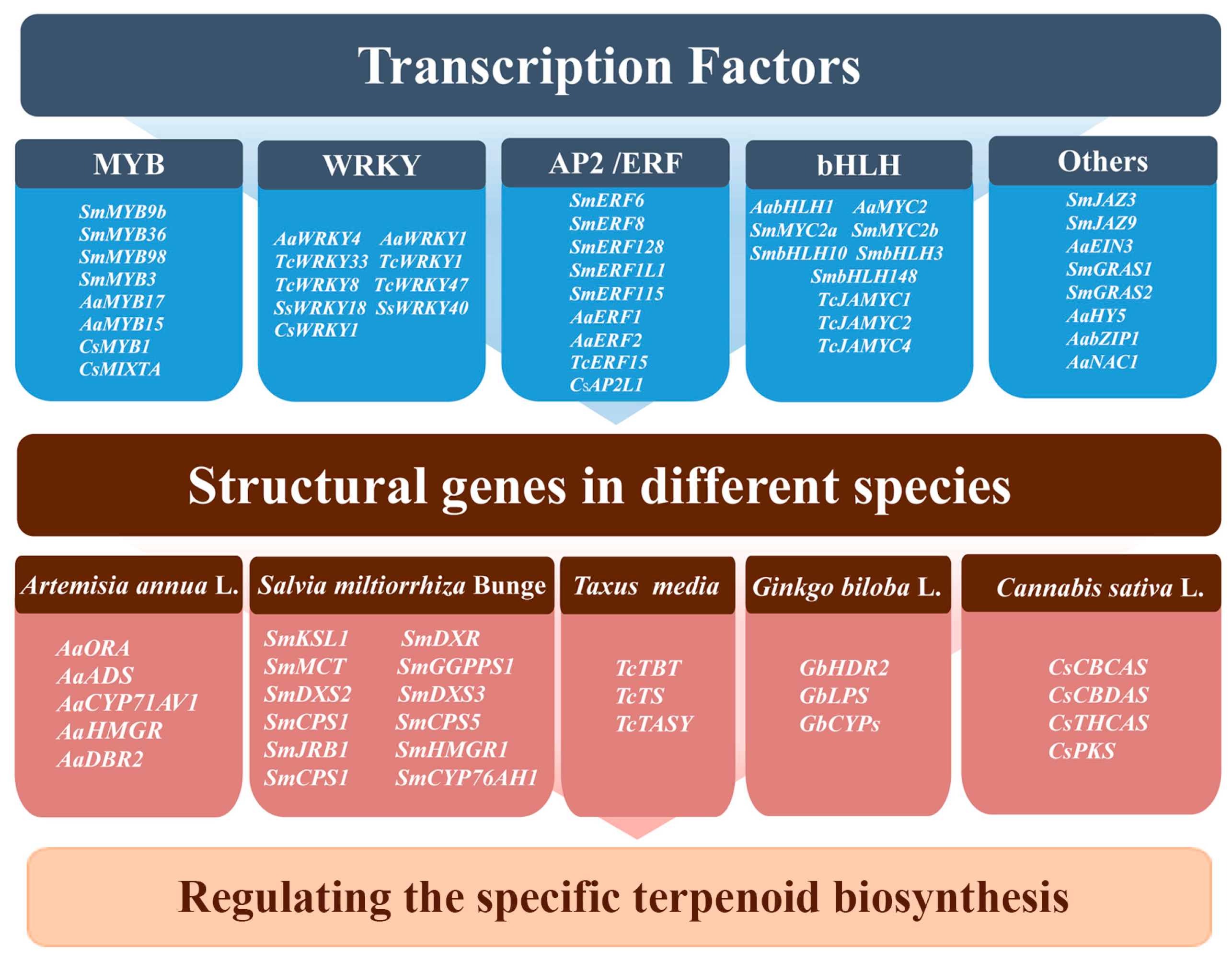 Biomolecules 13 01725 g004