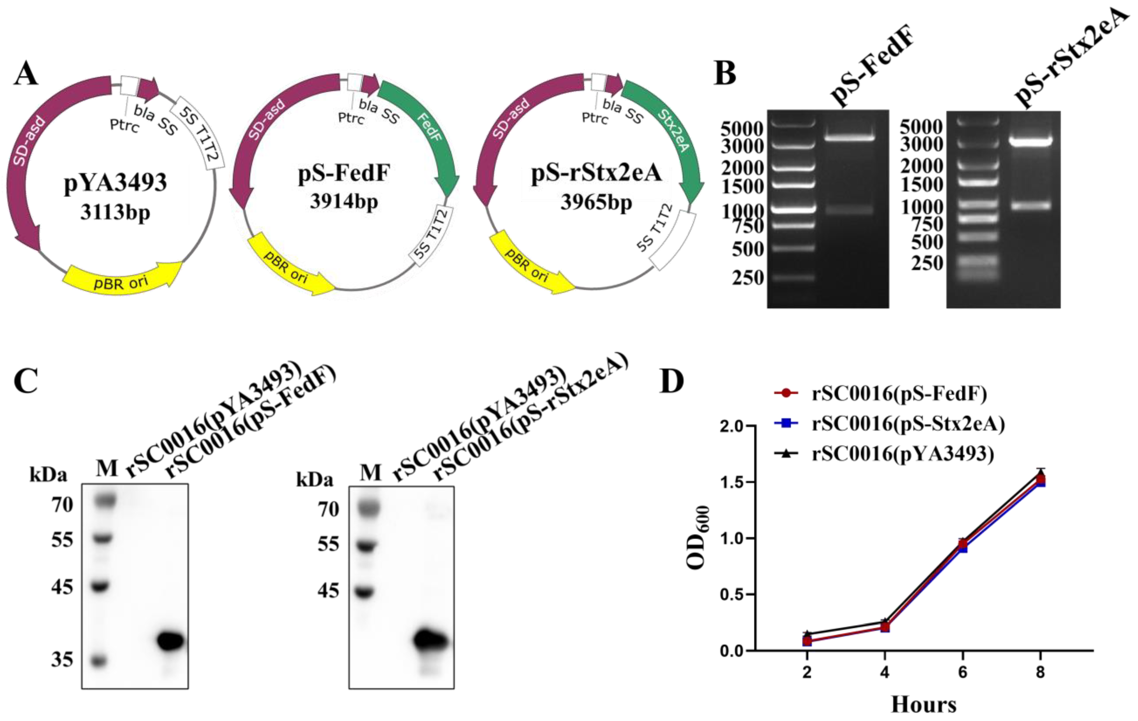 Biomolecules 13 01726 g002