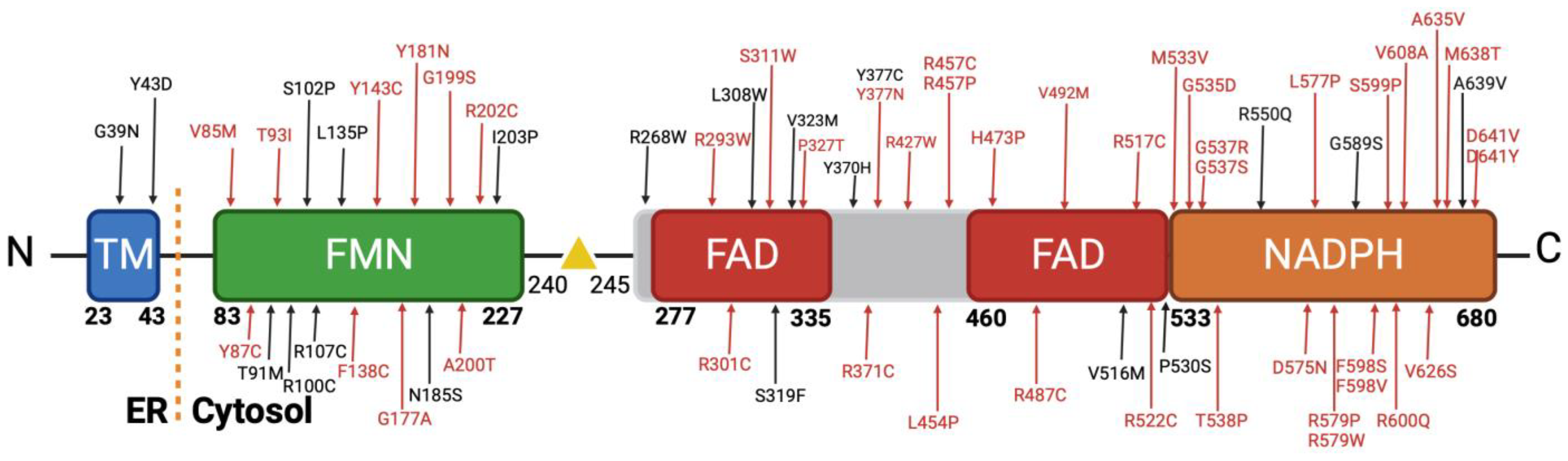 Biomolecules 13 01728 g004 Biomolecules 13 01728 g004