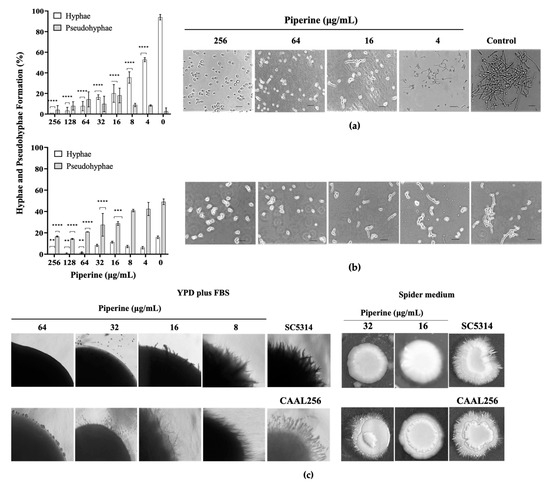 エイティシックス TVアニメ「86―エイティシックス―」公式サイト