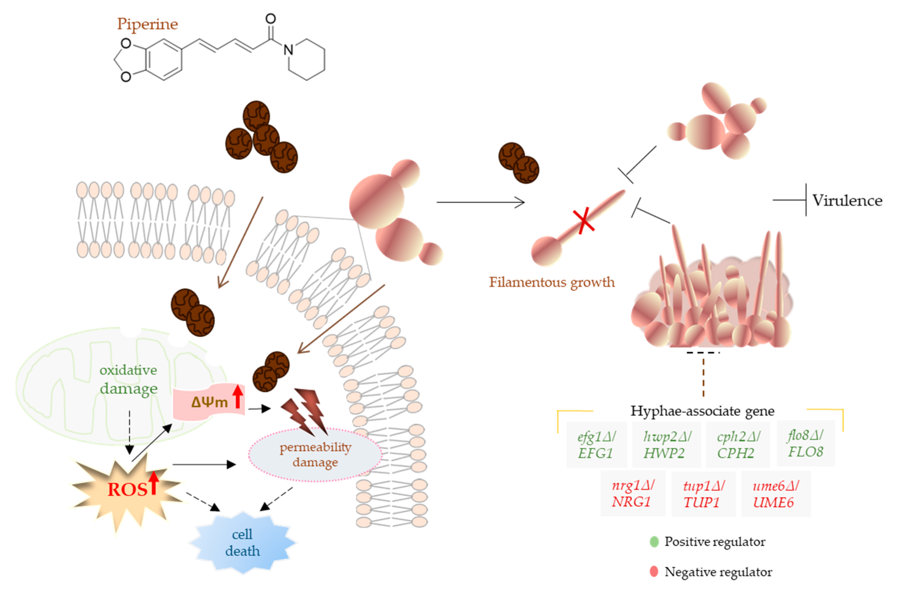 Biomolecules 13 01729 g009
