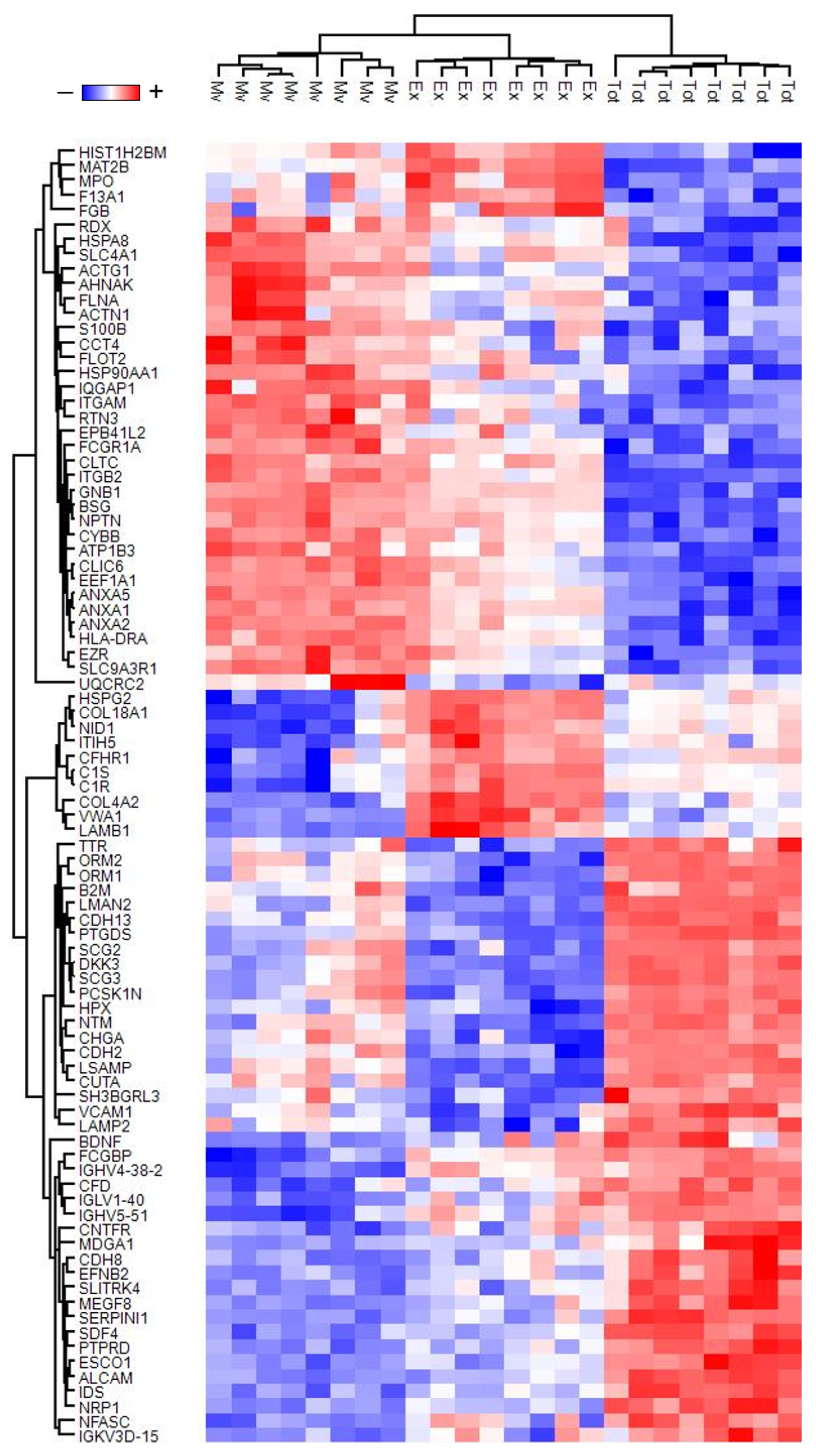Biomolecules 13 01730 g002