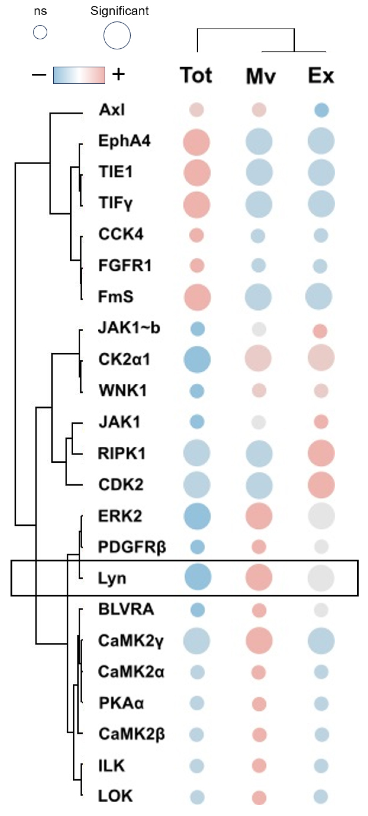 Biomolecules 13 01730 g003