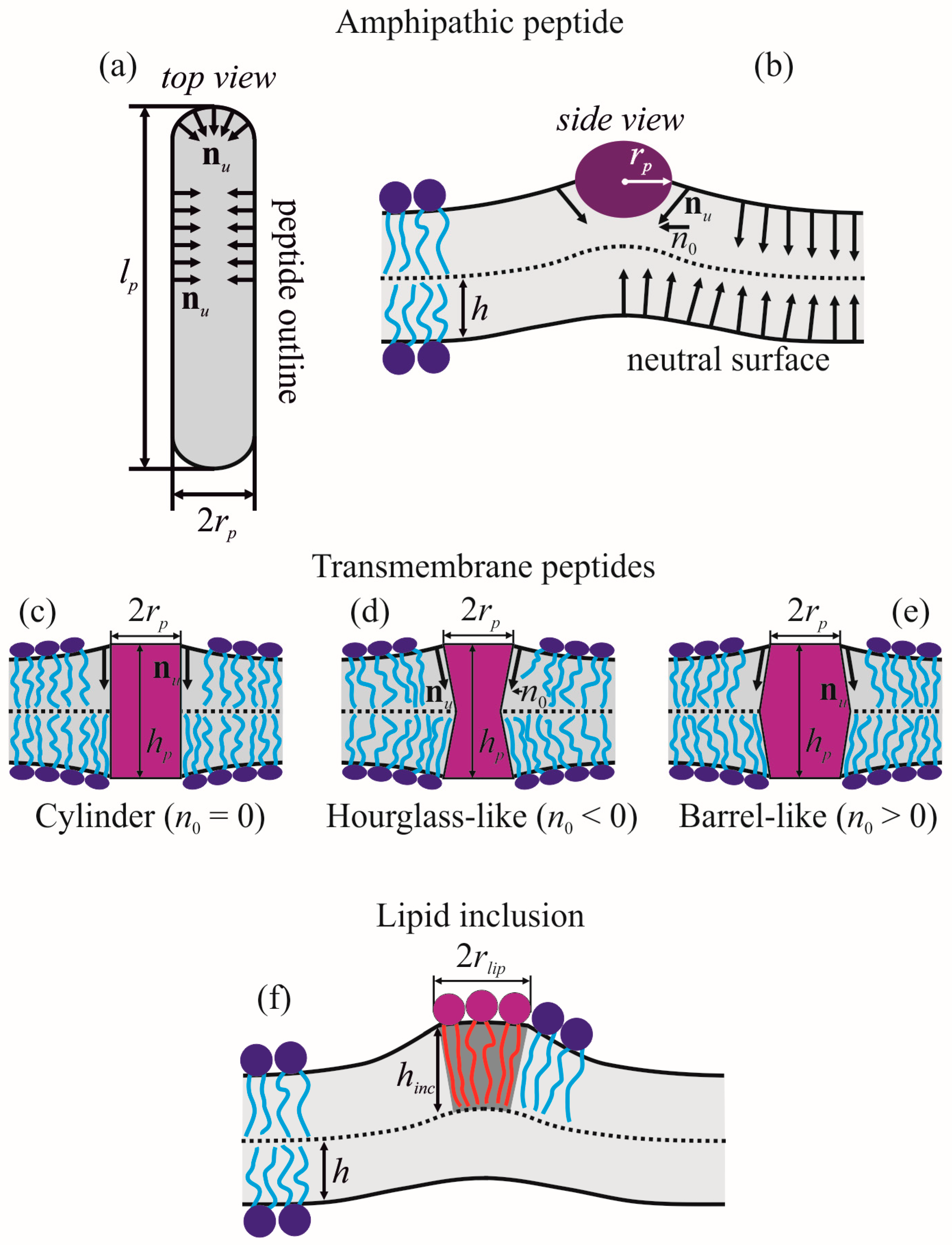 Biomolecules 13 01731 g001