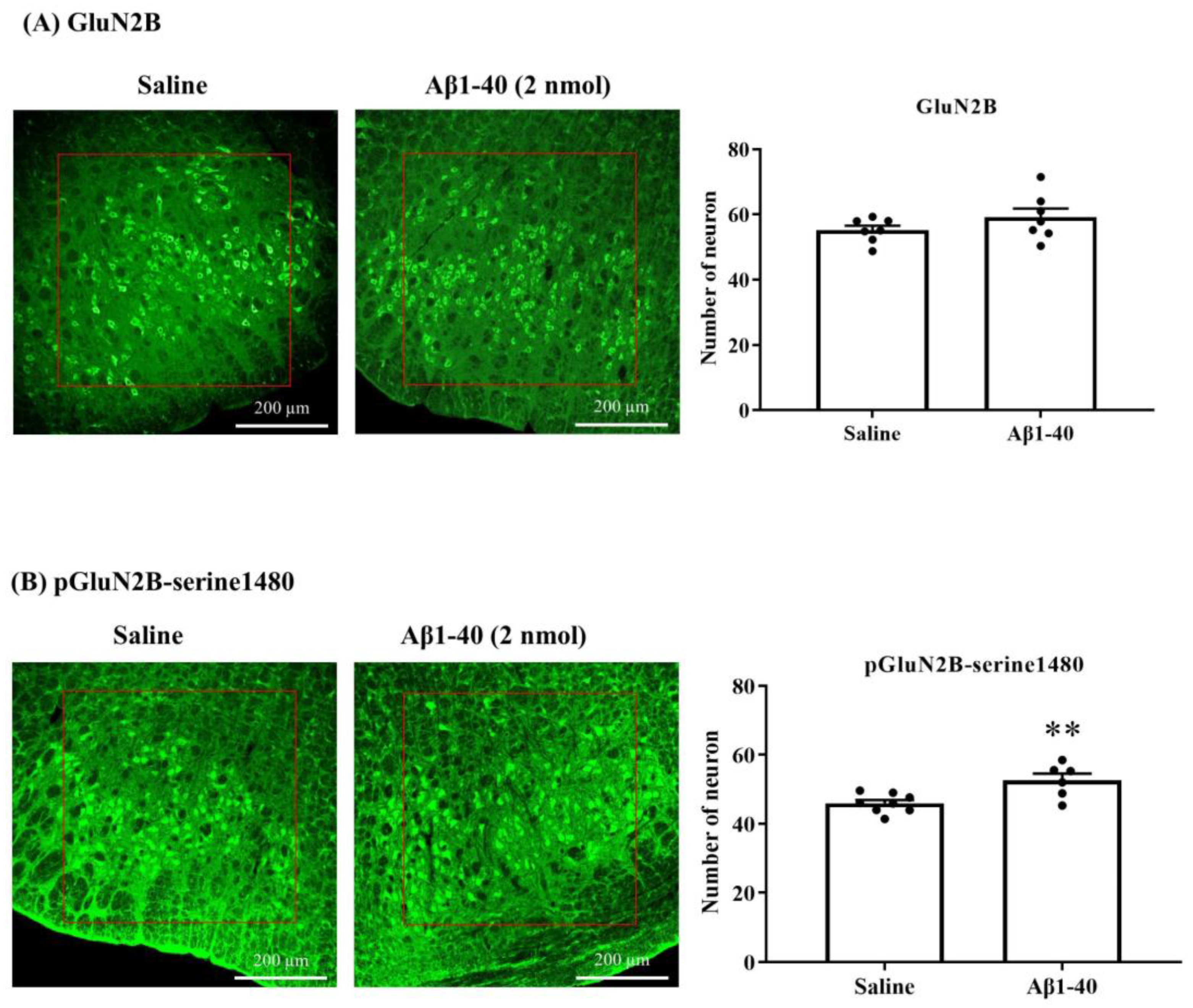 Biomolecules 13 01736 g005