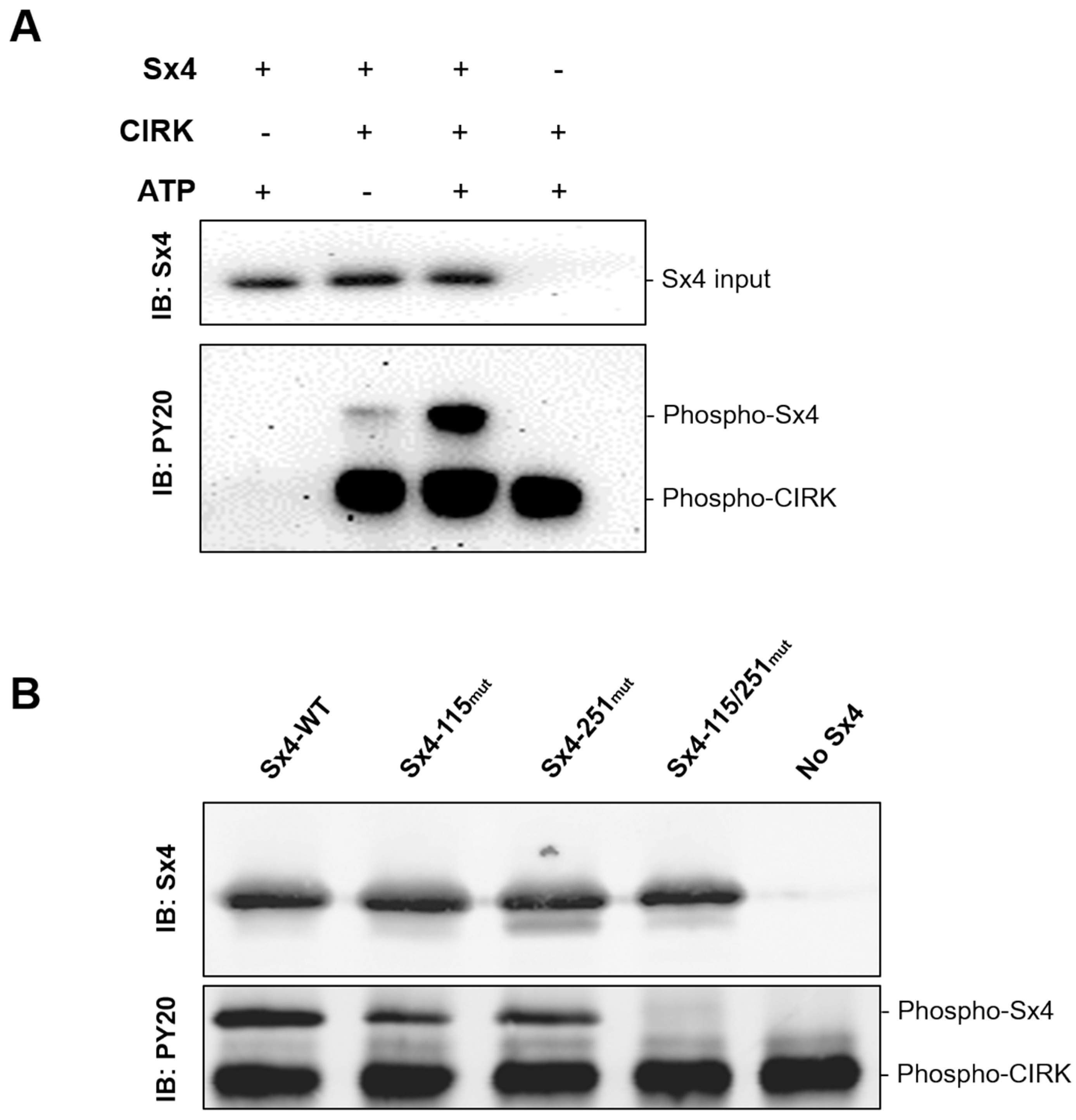 Biomolecules 13 01738 g001