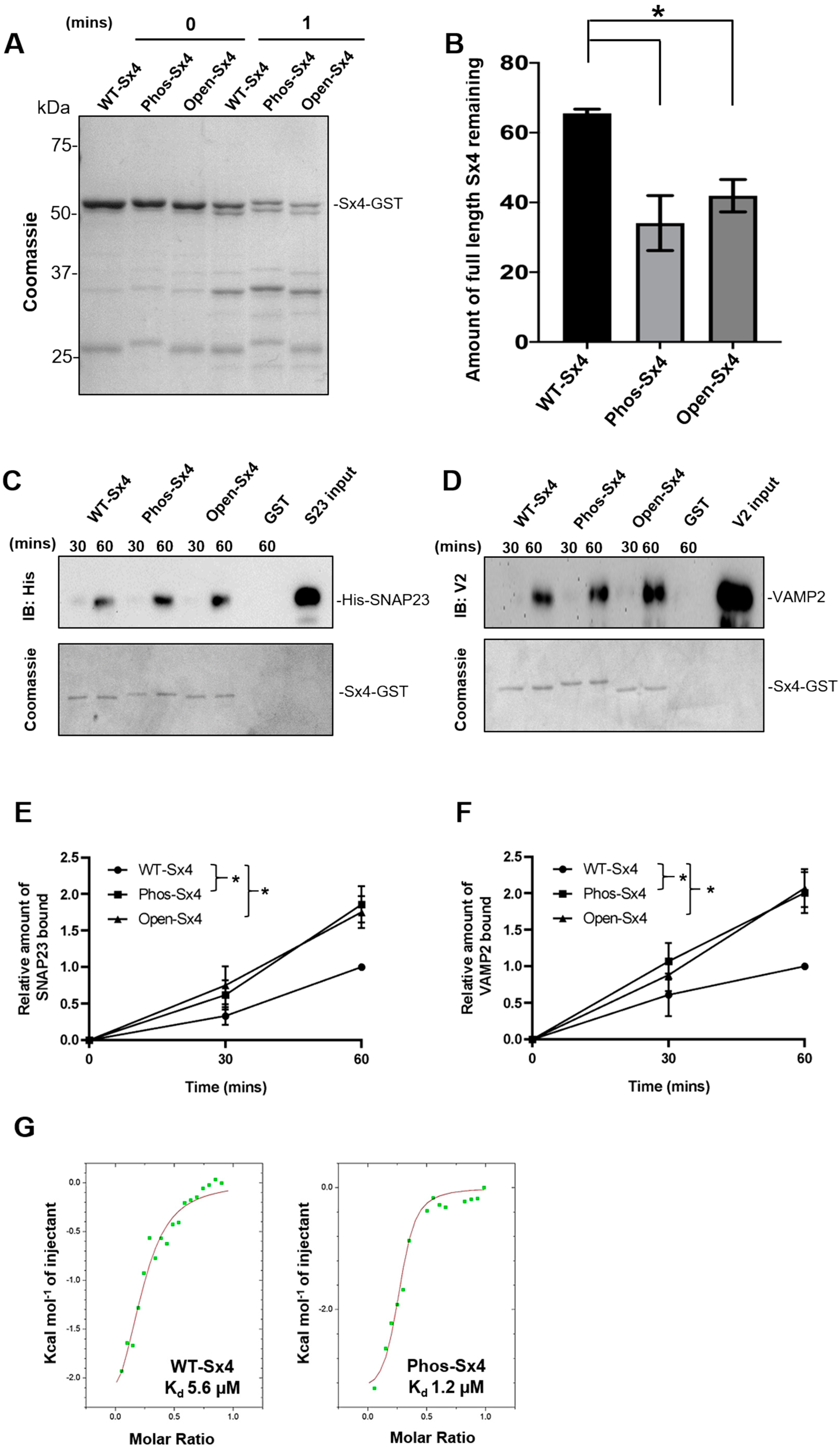 Biomolecules 13 01738 g003
