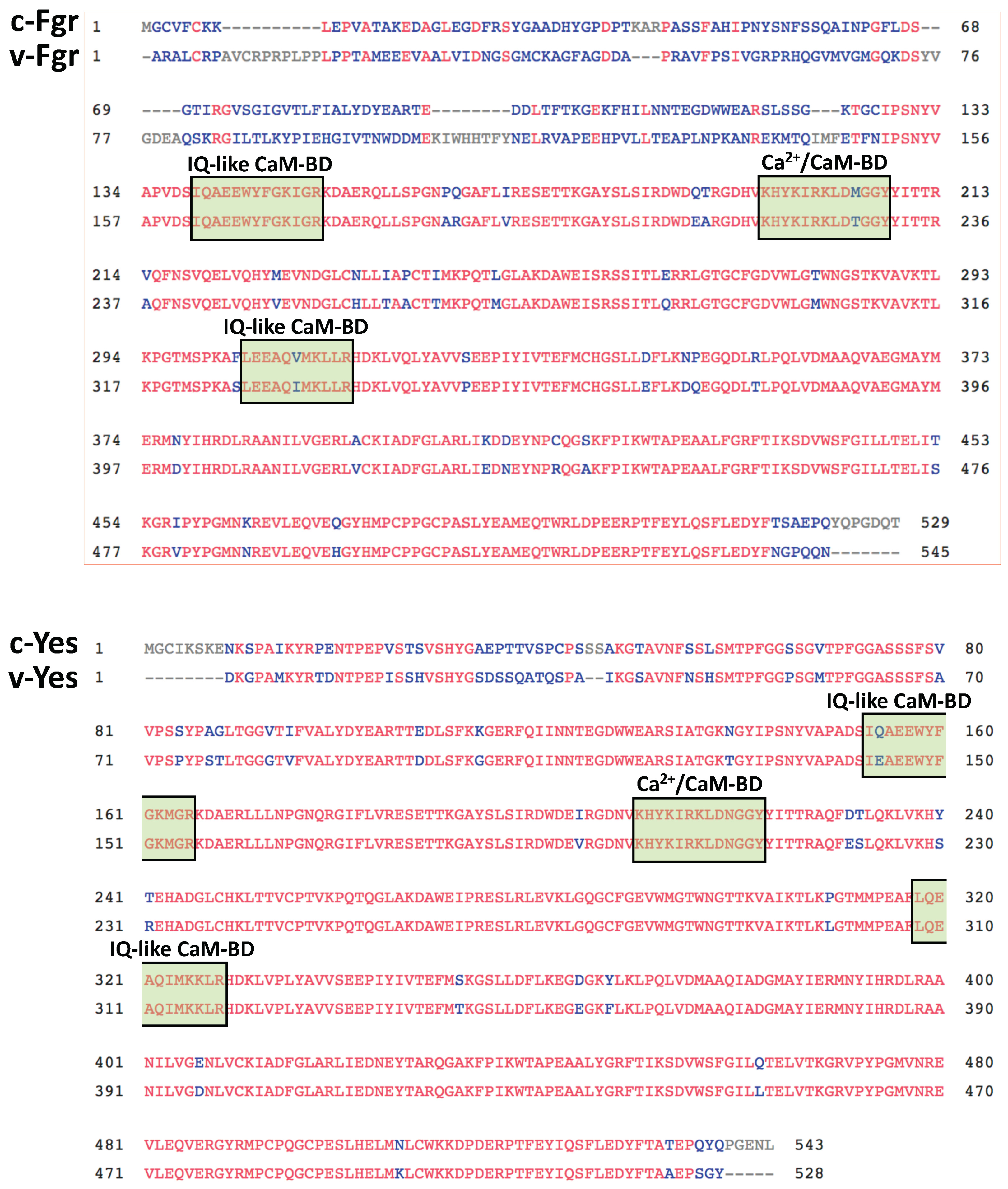 Biomolecules 13 01739 g002 Biomolecules 13 01739 g002
