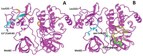 Ca2+ Signaling and Src Functions in Tumor Cells