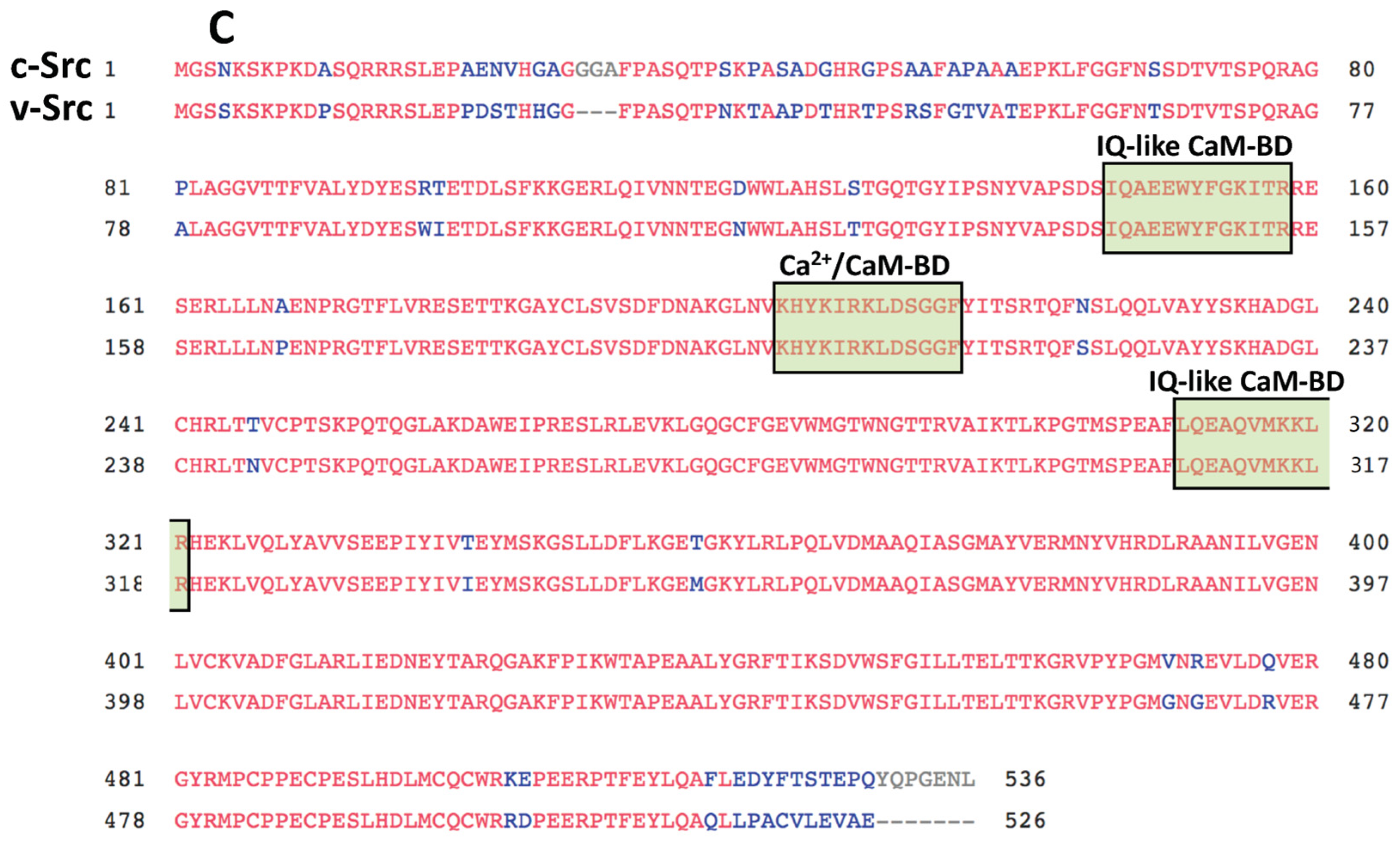 Biomolecules 13 01739 g003b Biomolecules 13 01739 g003b