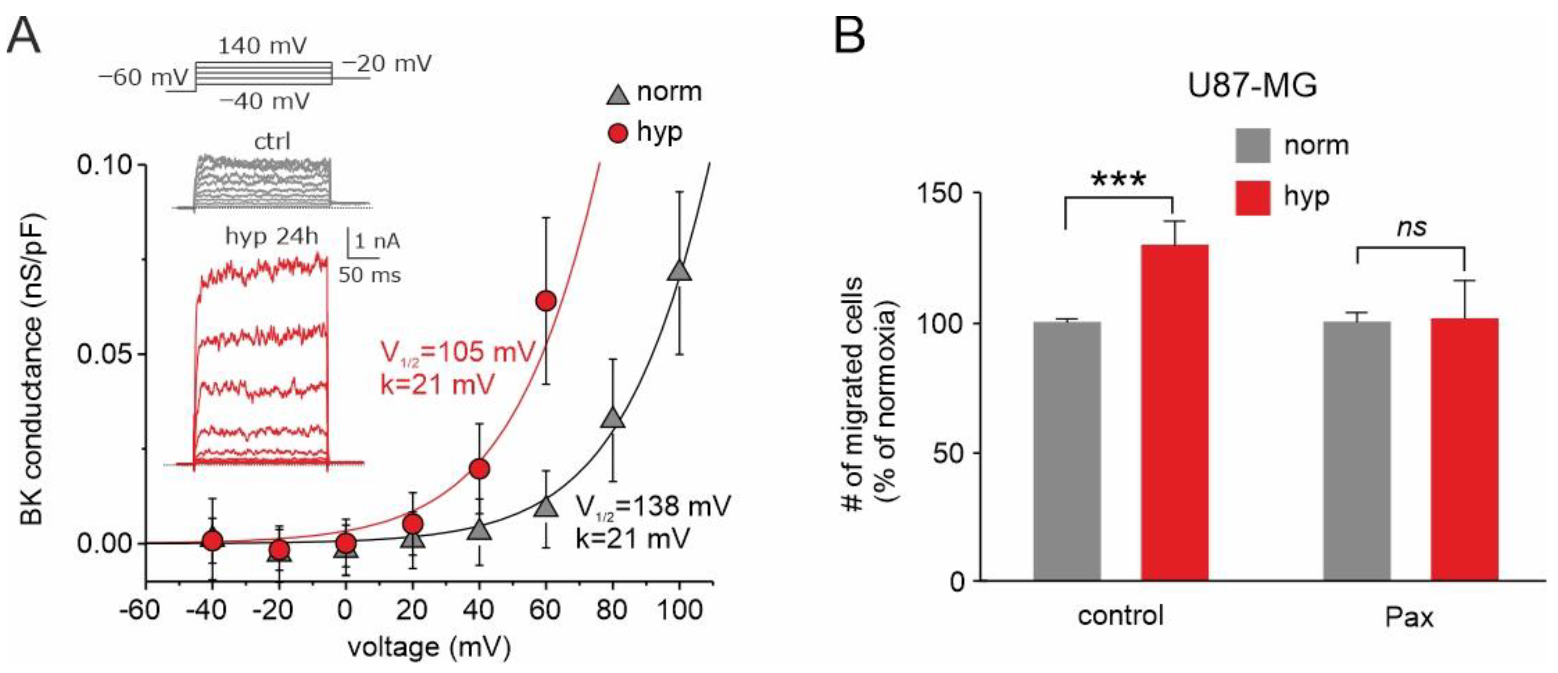 Biomolecules 13 01742 g006