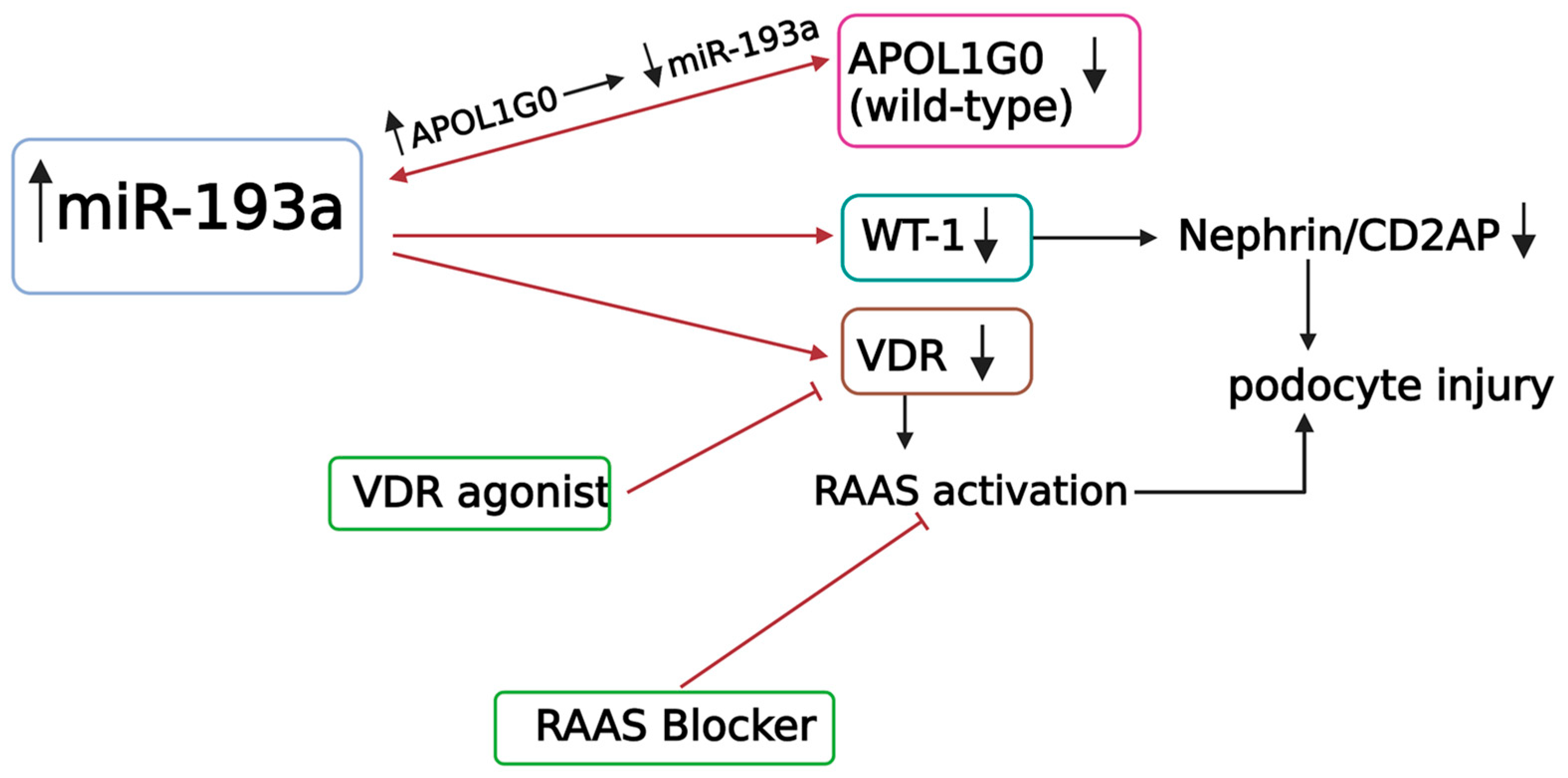 Biomolecules 13 01743 g002