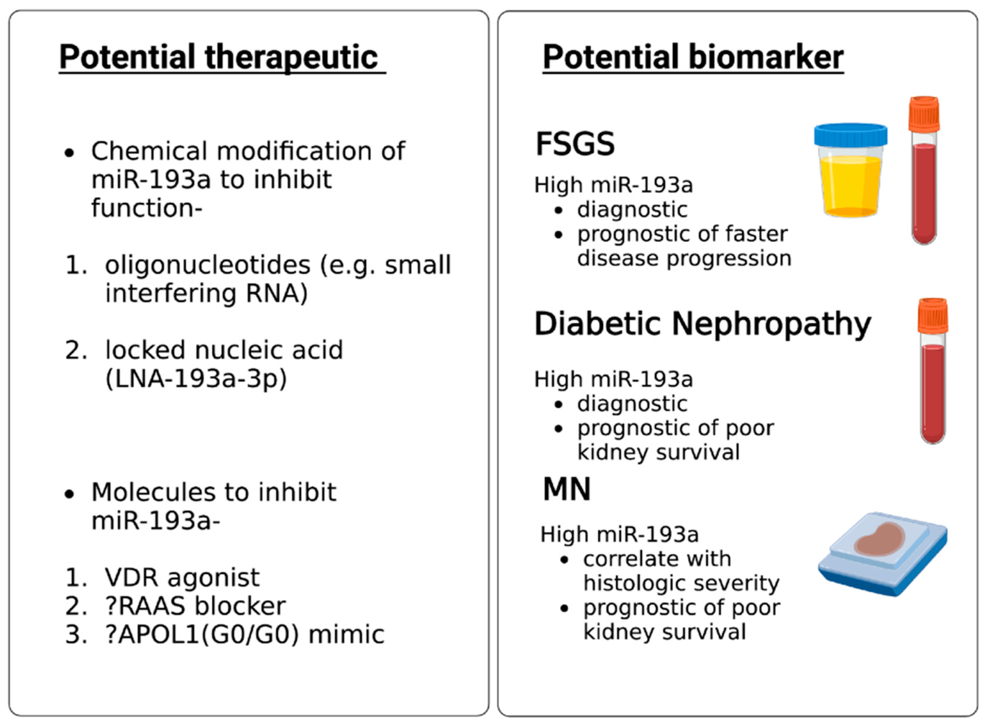 Biomolecules 13 01743 g003